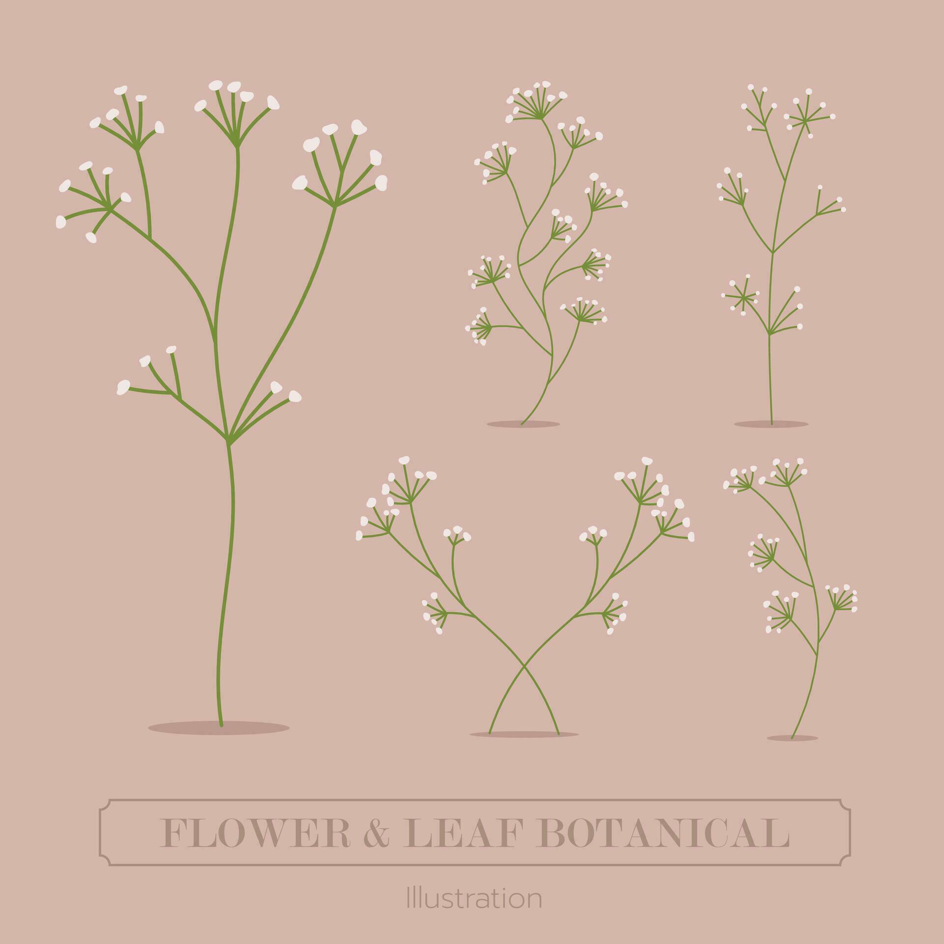 flower and grass botanical illustration. Stock Free