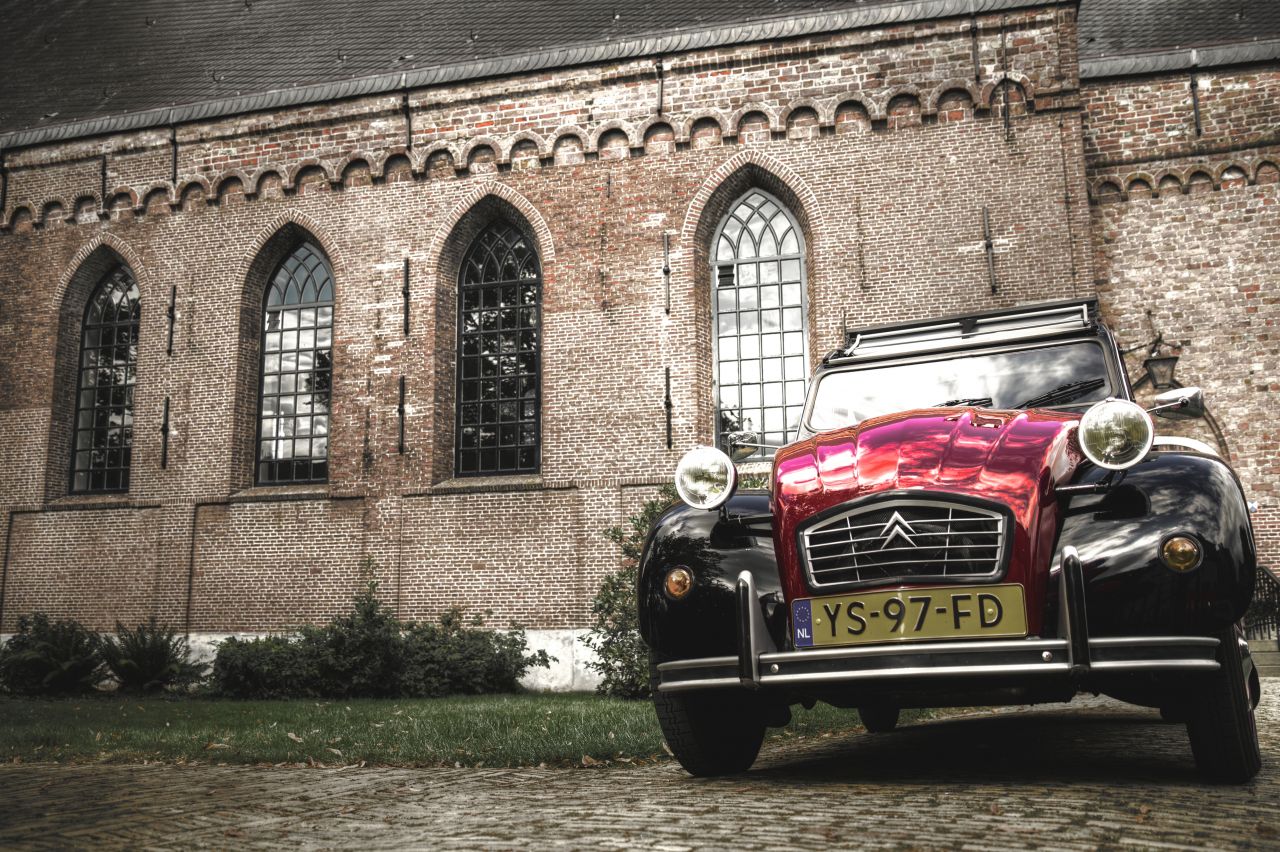 Deux chevaux Stock Free