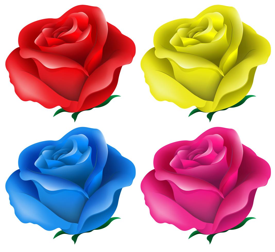 Colorful roses Stock Free