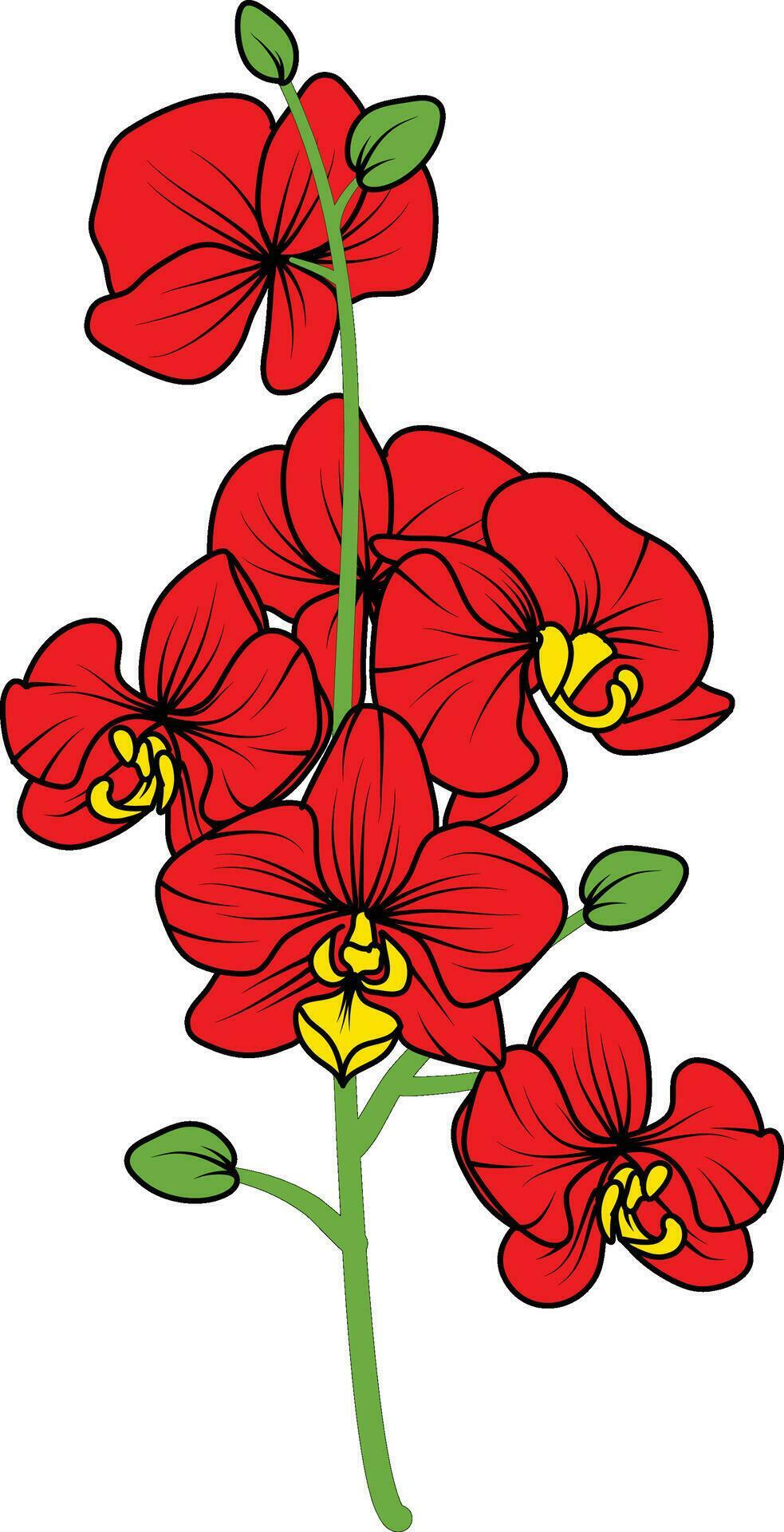 Red orchid branch vector flower, illustration of beautiful red orchid flower Stock Free