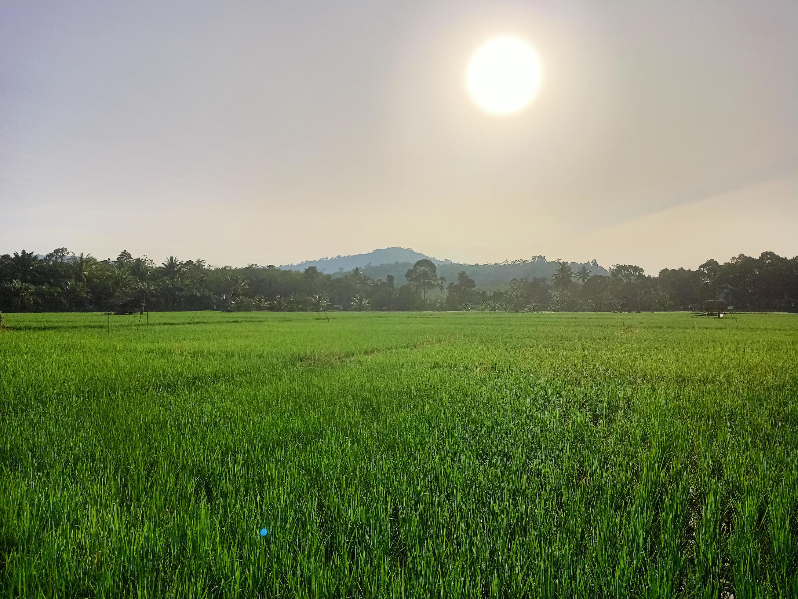 beautiful natural scenery during the day, the sky is blue, the clouds Stock Free