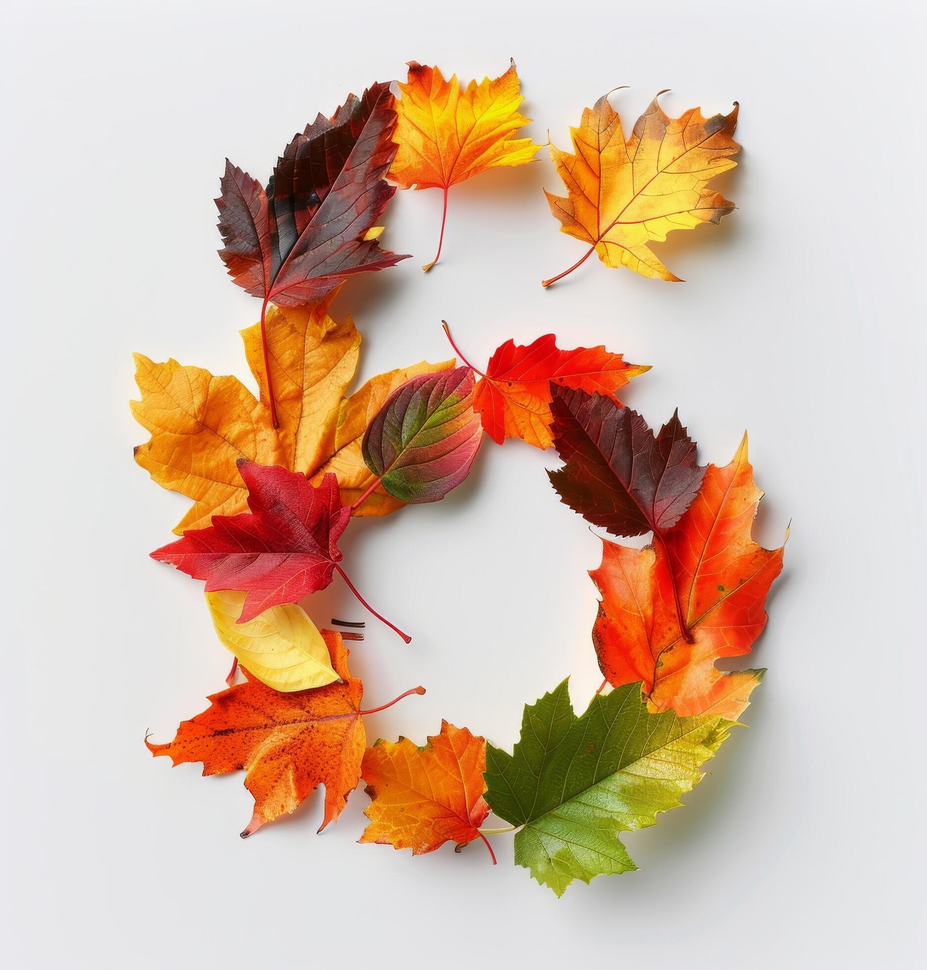 Colorful Autumn Leaves Forming Number Six on White Background Stock Free