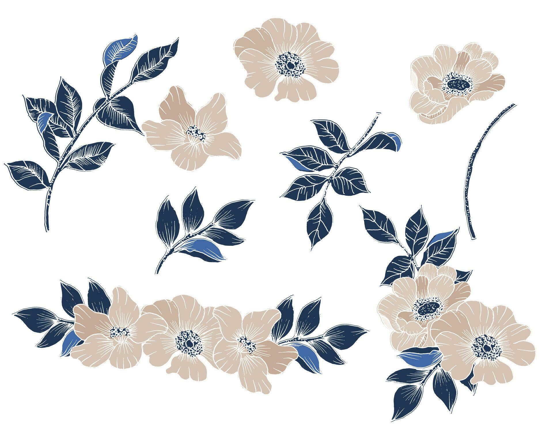 Vintage Hand Drawn Anemone Flower and Leaves Stock Free and Free SVG