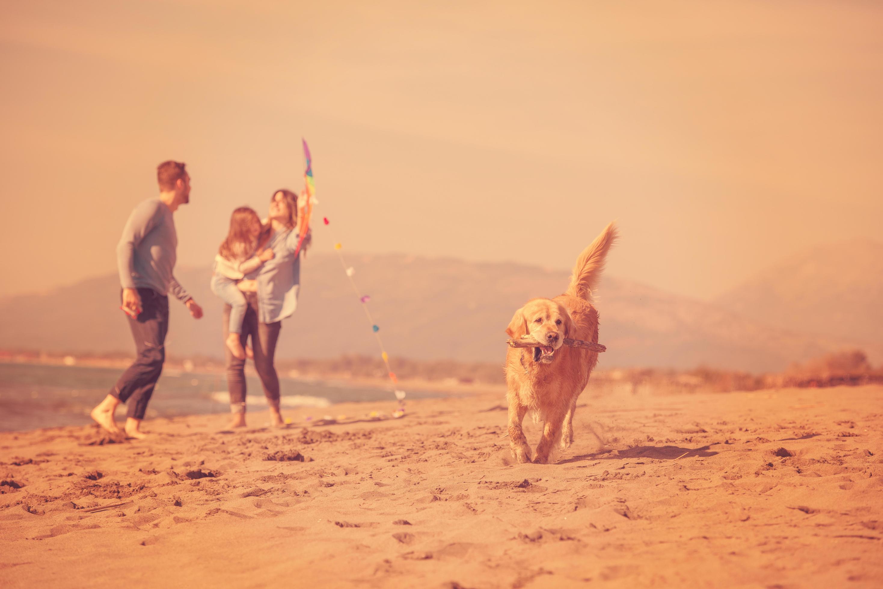 happy young family enjoying vecation during autumn day Stock Free