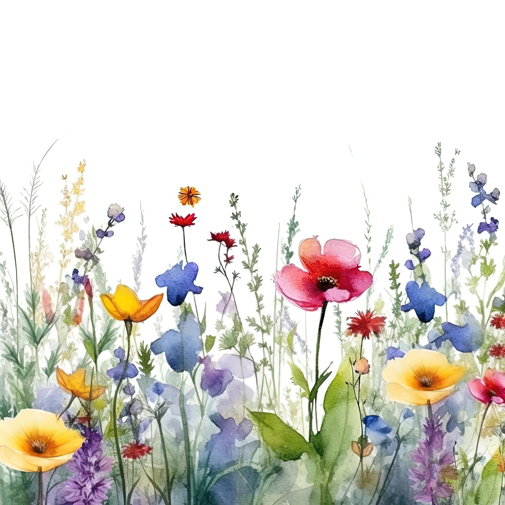 Watercolor Flower border. Illustration Stock Free