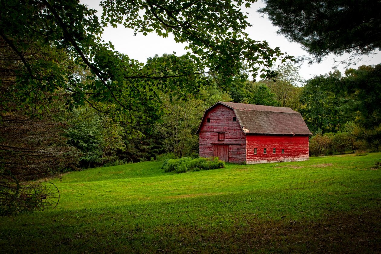 Barn Stock Free