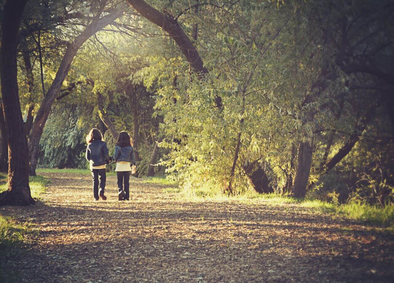 Children Kids Walk Forest Trail Stock Free