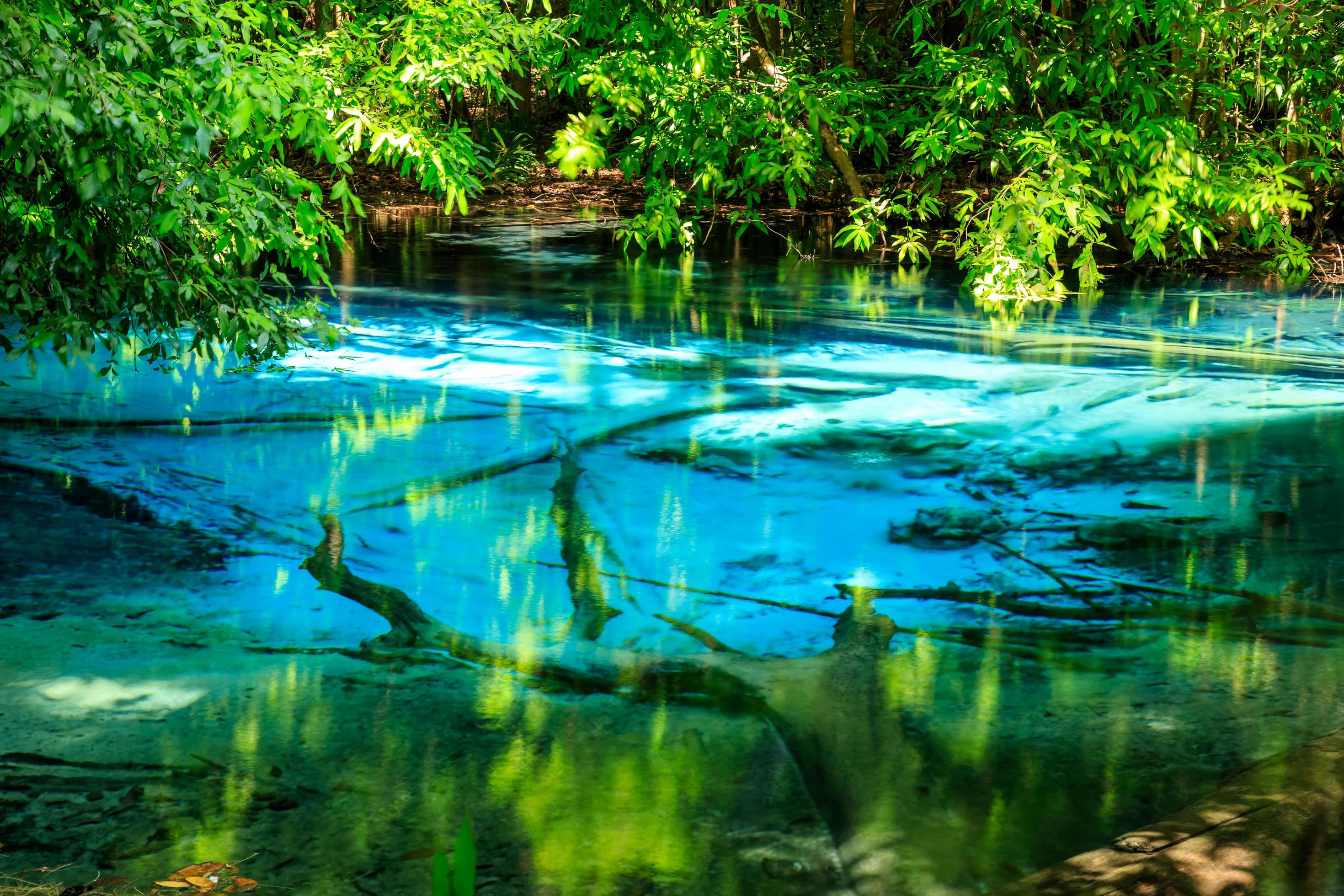 Blue Pool, turquoise crystal clear spring hidden in middle of forest, Krabi, Thailand Stock Free