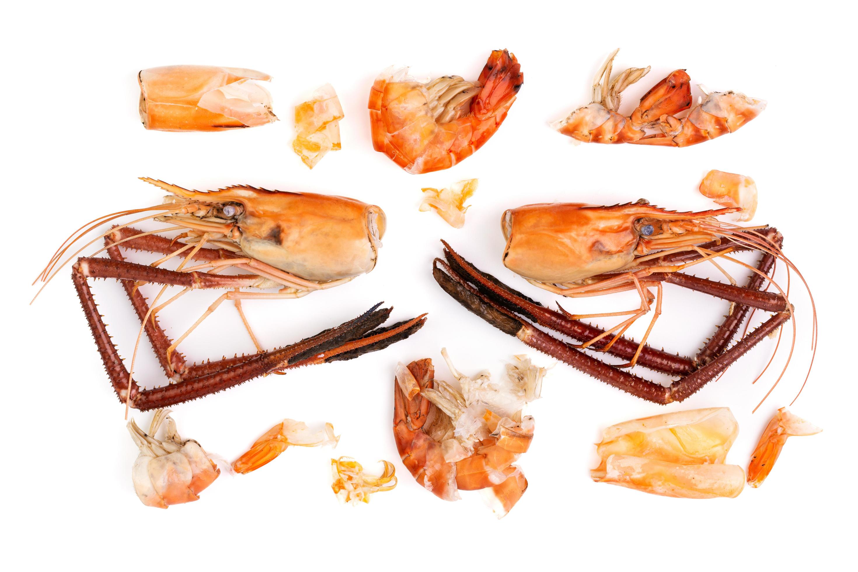 Shrimp heads and shrimp shells, food waste, leftovers, waste. Natural seafood. Lunch. Dinner isolated on white background. Stock Free