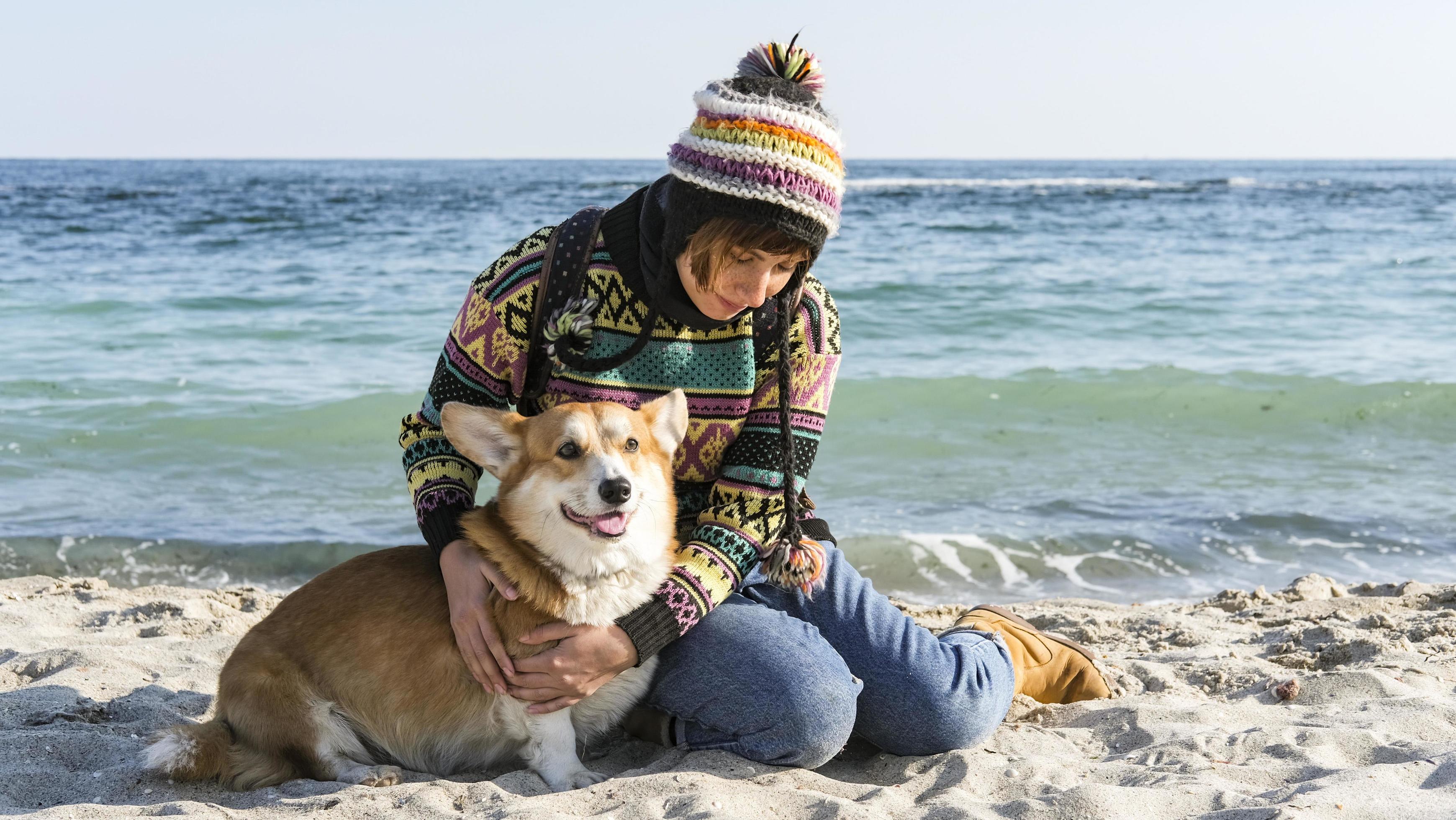 Young happy female walk with cute corgi dog on the autumn sunny beach Stock Free