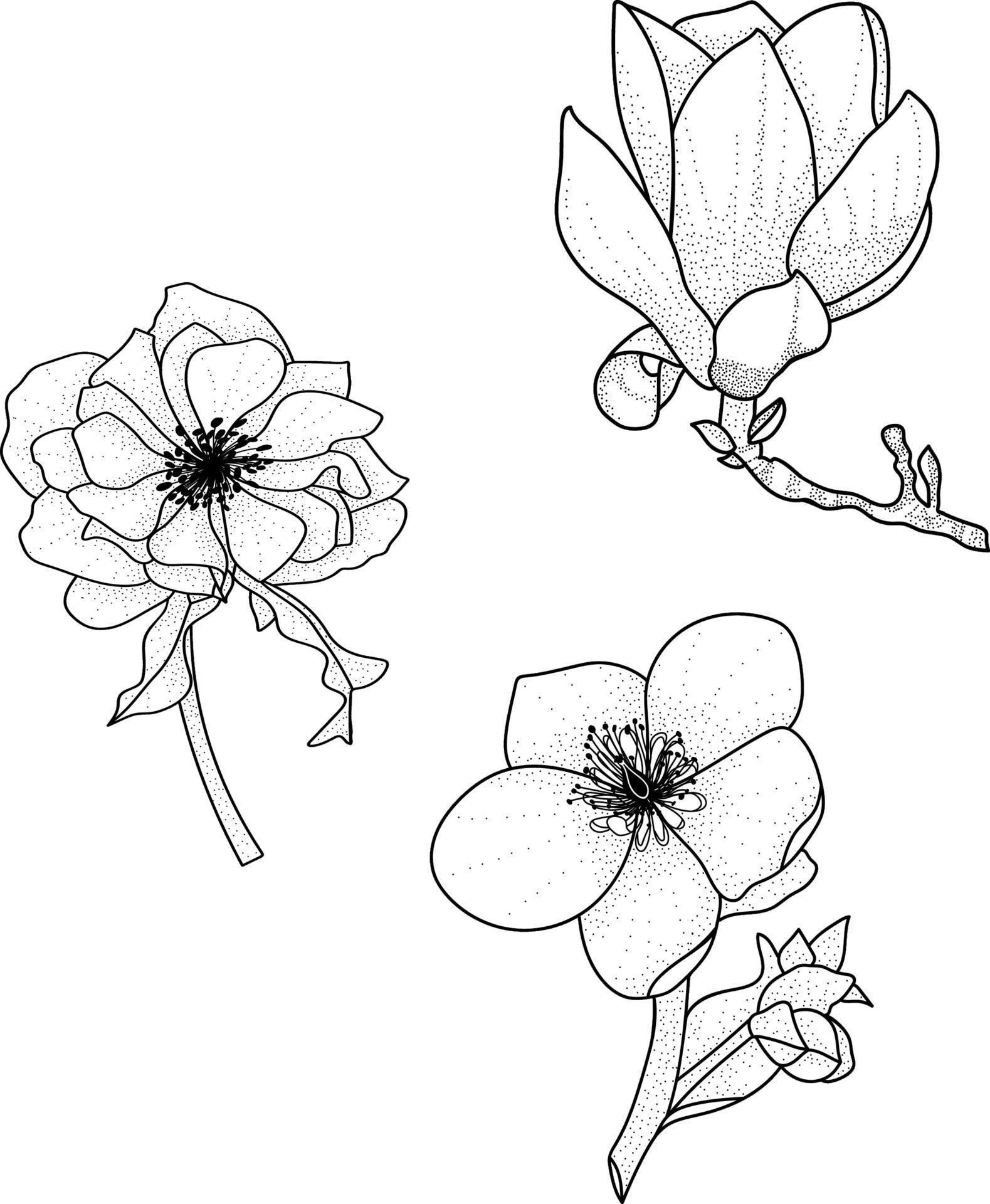 hand drawn flowers vector Stock Free