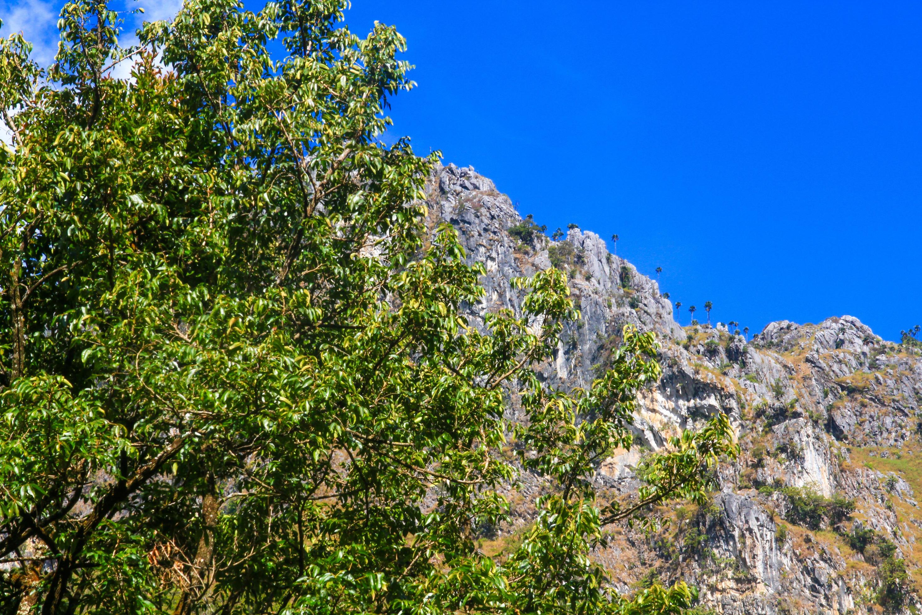 Beautiful Landscape of rocky Limestone Mountain and green forest with blu sky at Chiang doa national park in Chiangmai, Thailand Stock Free