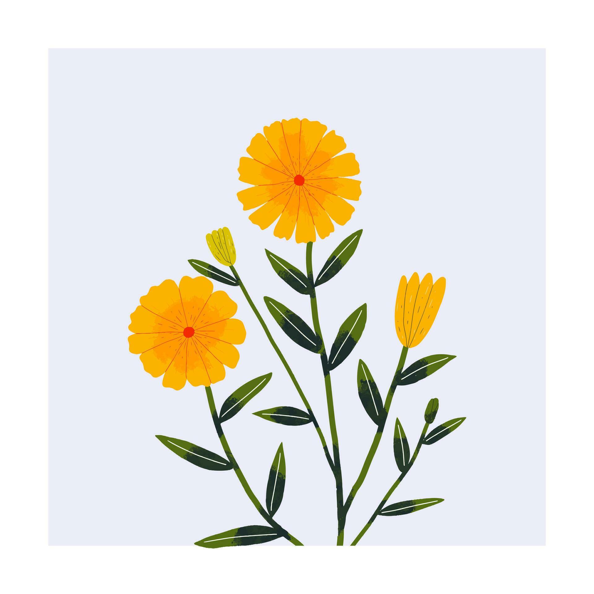 wild flower wall art illustration Stock Free