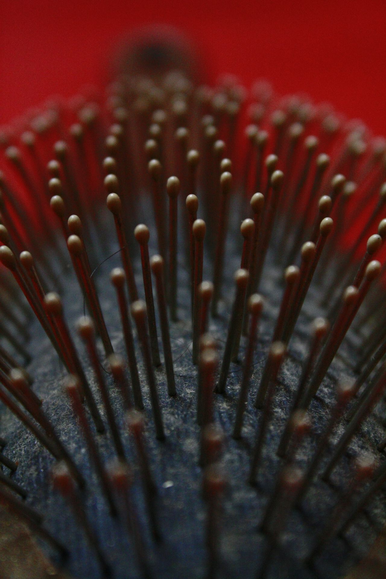 Hair Brush Closeup Stock Free