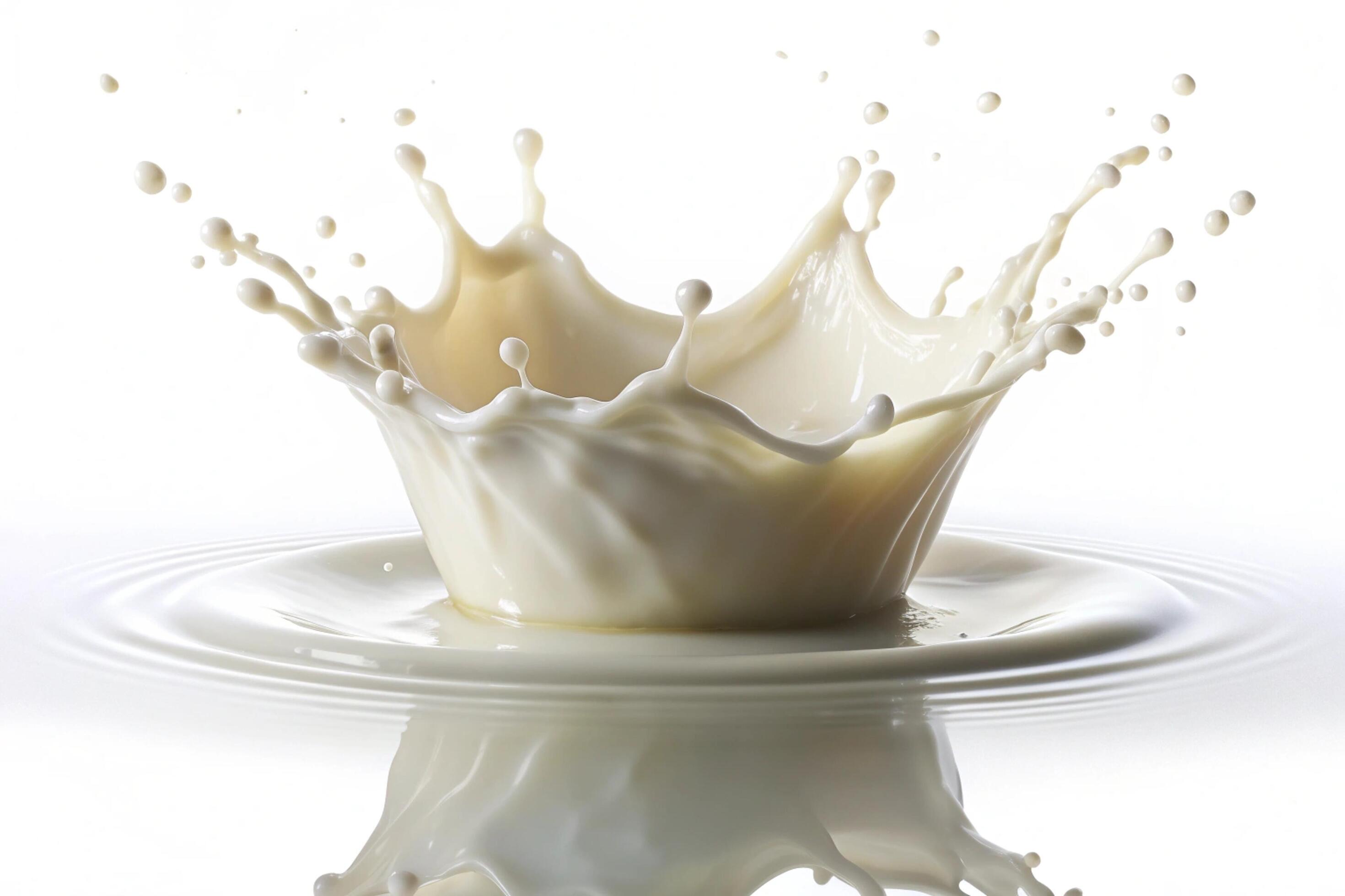 Milk splashes on white background Stock Free