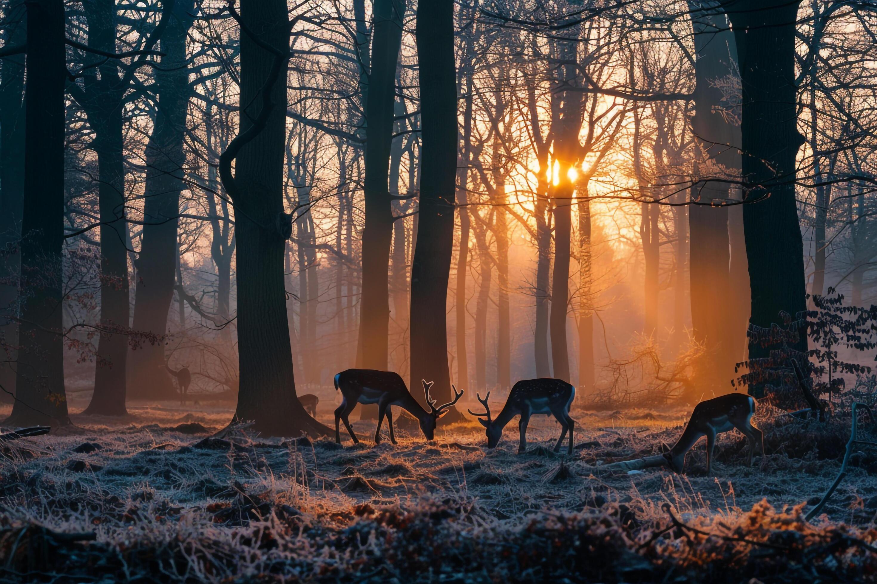 family of deer grazing in a forest clearing at dawn nature background Stock Free