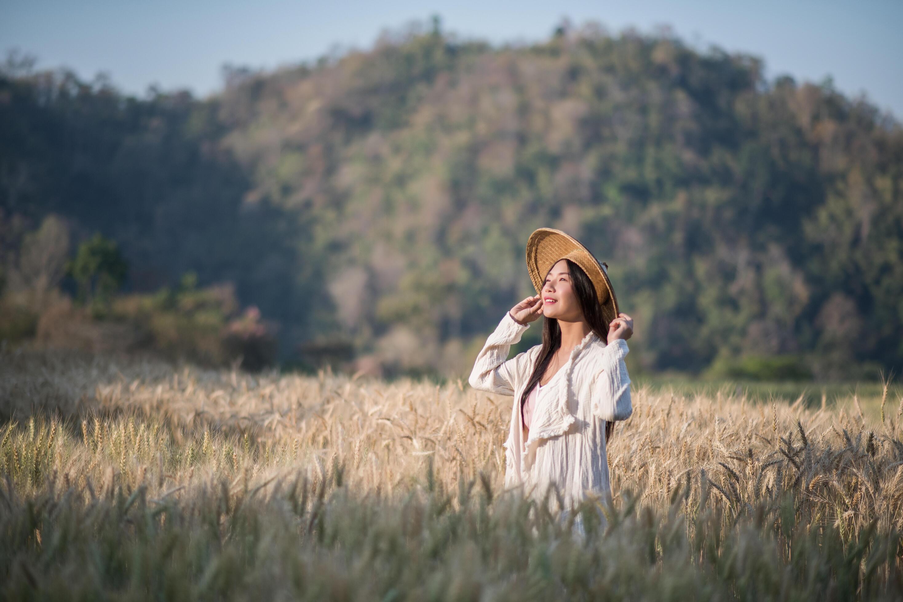 Vietnamese female farmer in wheat harvest field Stock Free