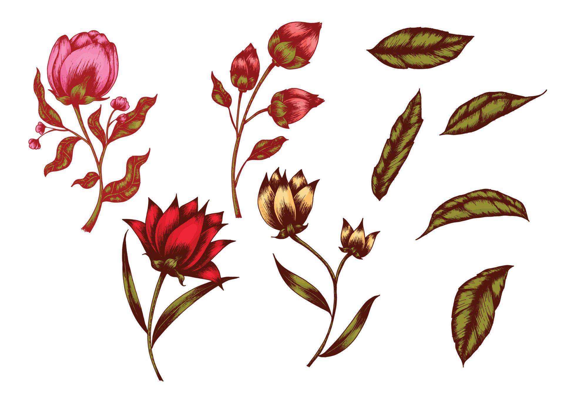 Sketch flower line art Stock Free