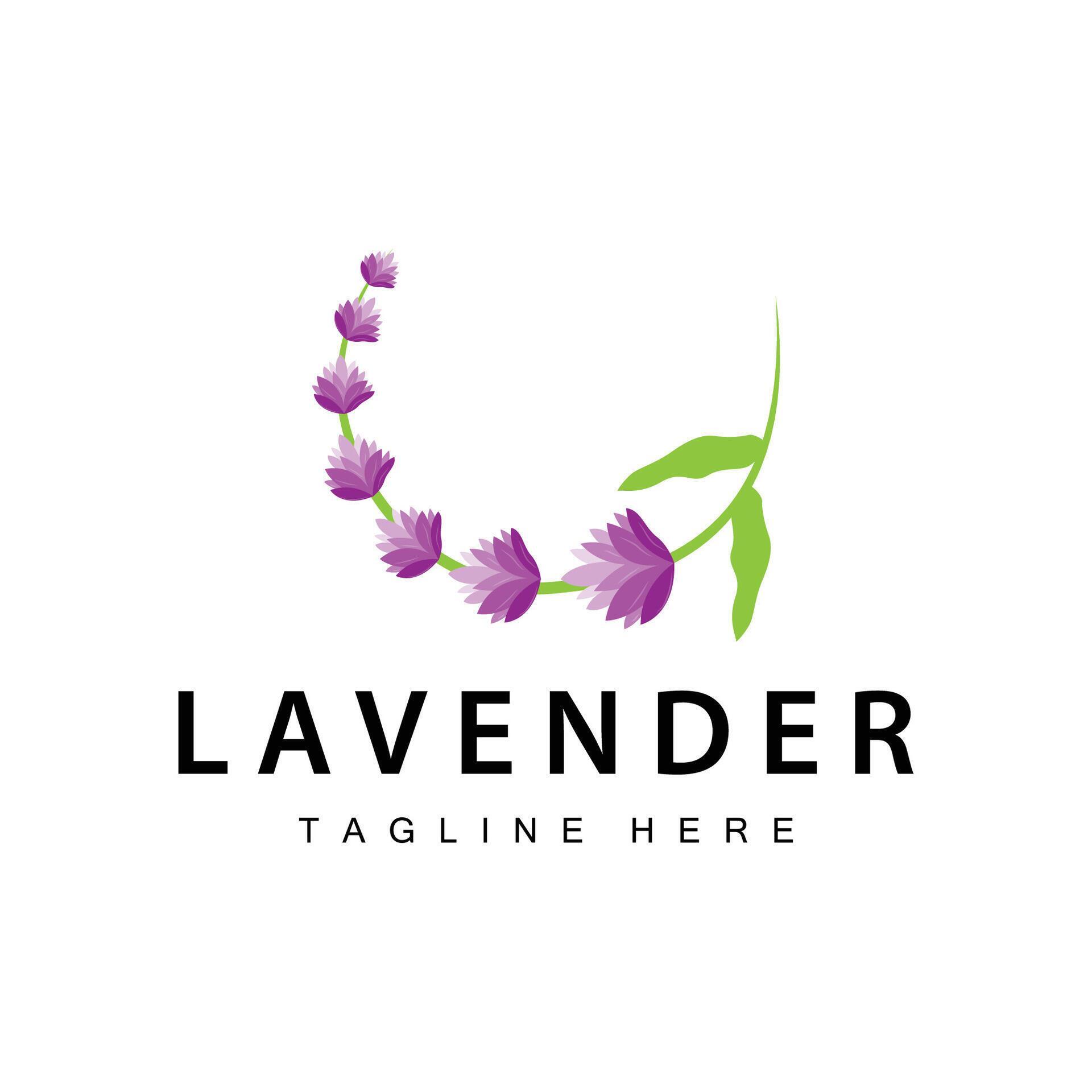 Lavender logo simple design vector cosmetic plant purple color and aromatherapy lavender flower garden template Stock Free