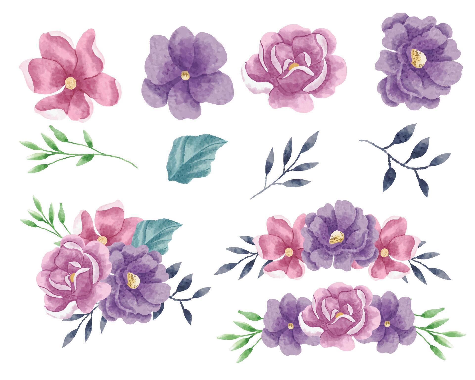 Purple and Pink Rose Watercolor Flower Stock Free