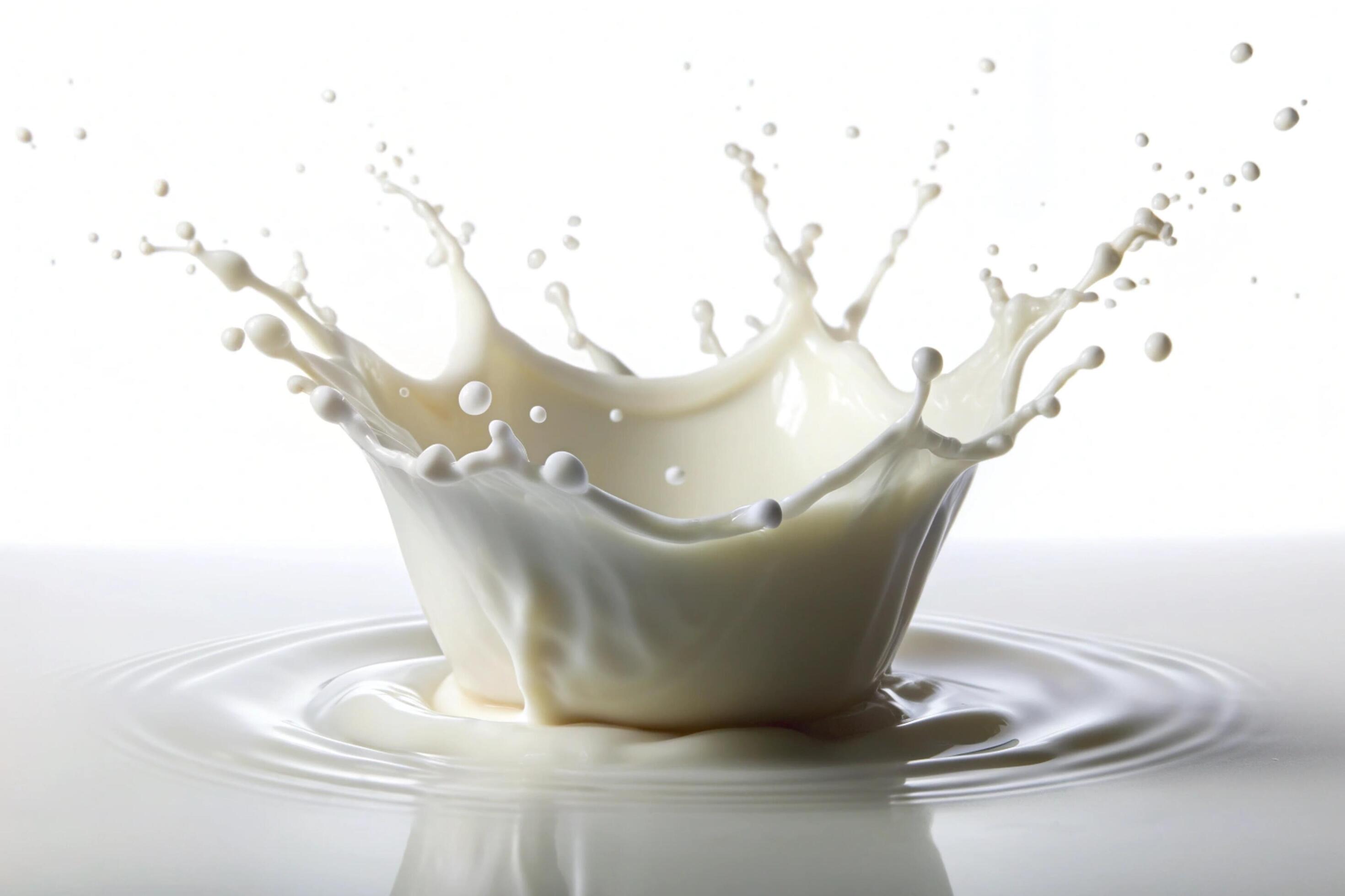 Milk splashes on white background Stock Free