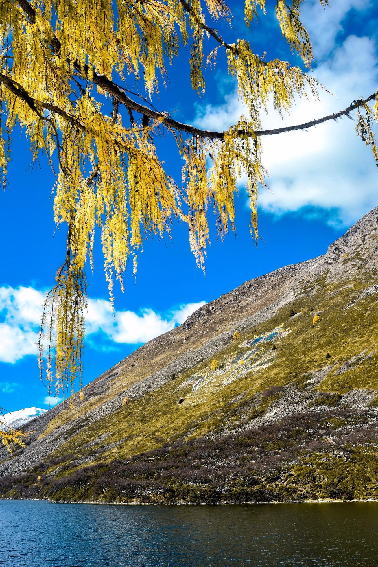 
									Spectacular scenery in the high mountains of western Sichuan, China, with different seasons Stock Free