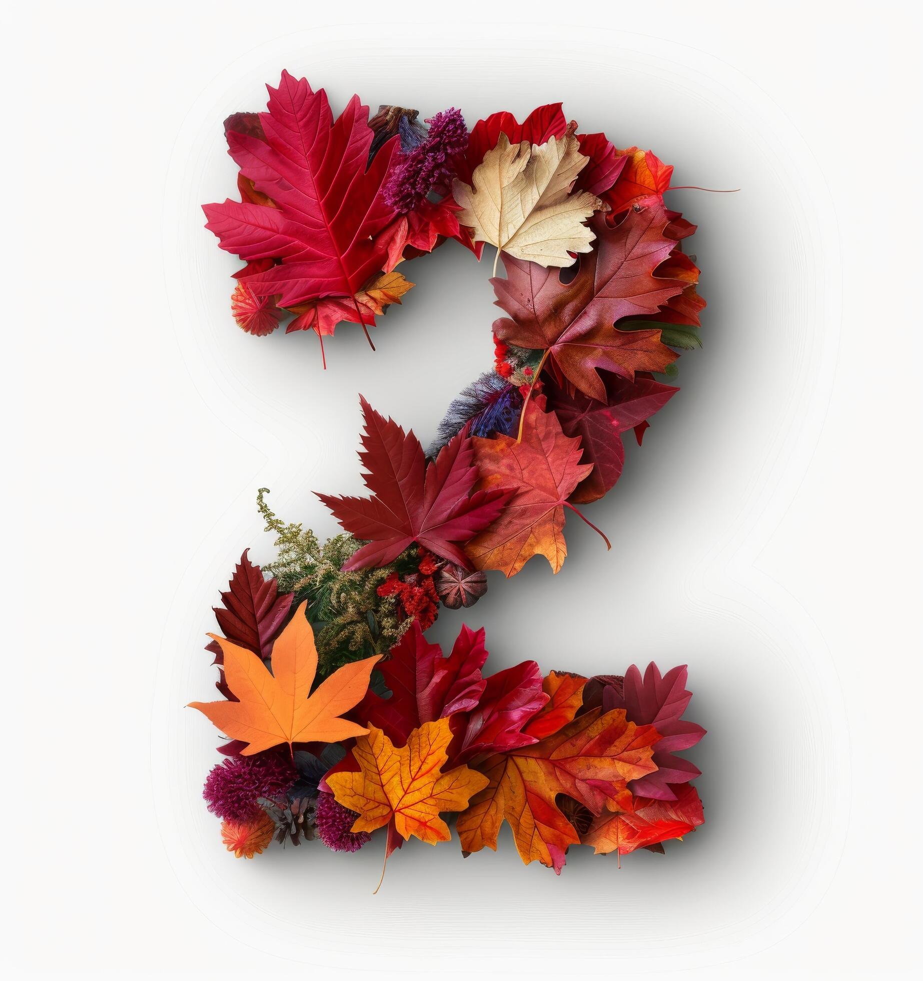 Colorful Autumn Leaves Forming The Number Two On A White Background Stock Free