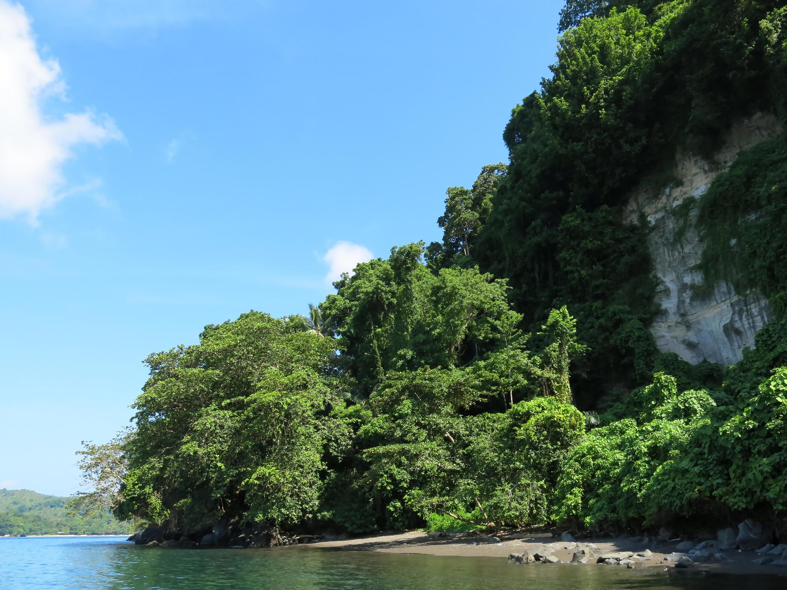 The nature of the Lembeh Strait. Stock Free