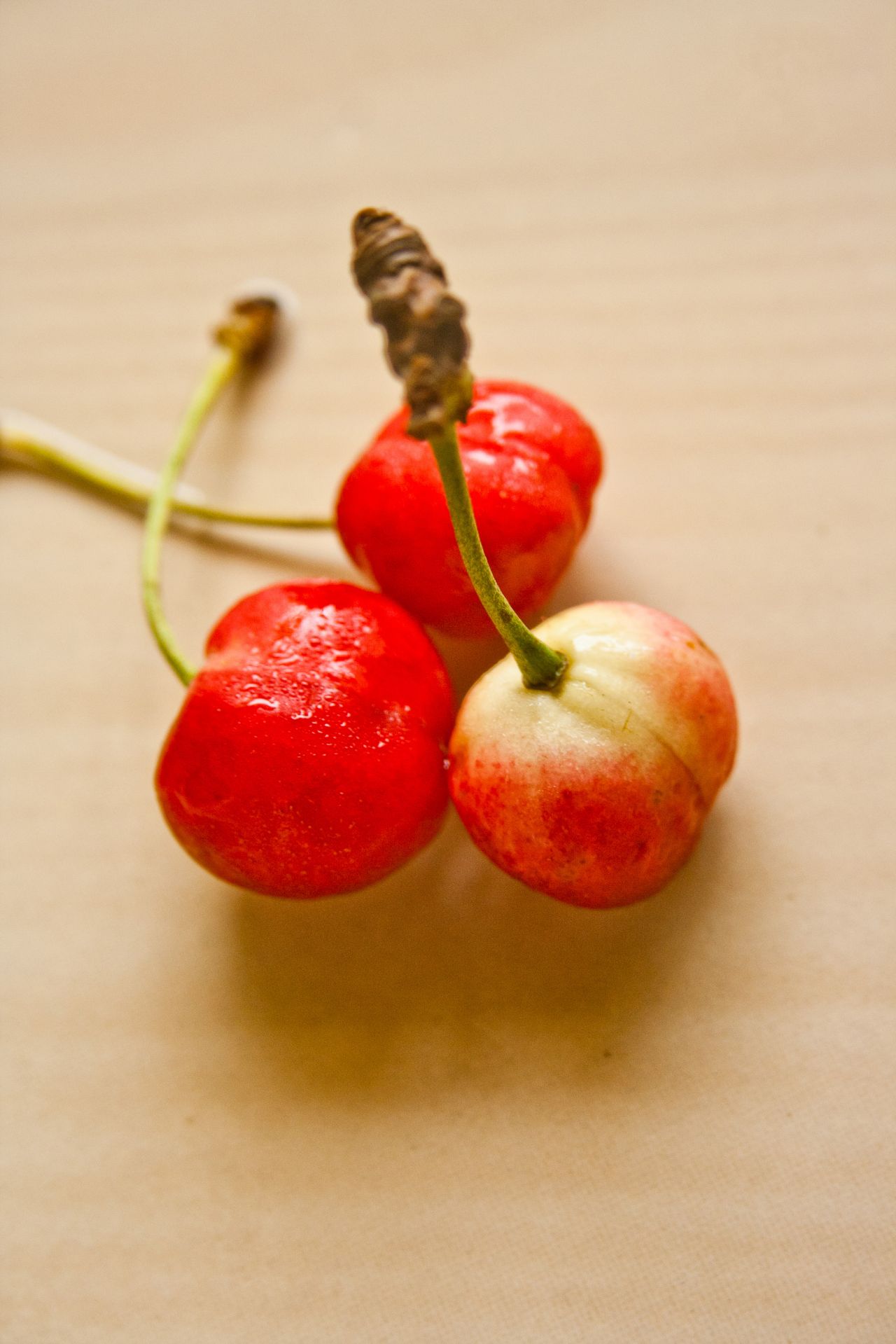 Three Cherries Stock Free