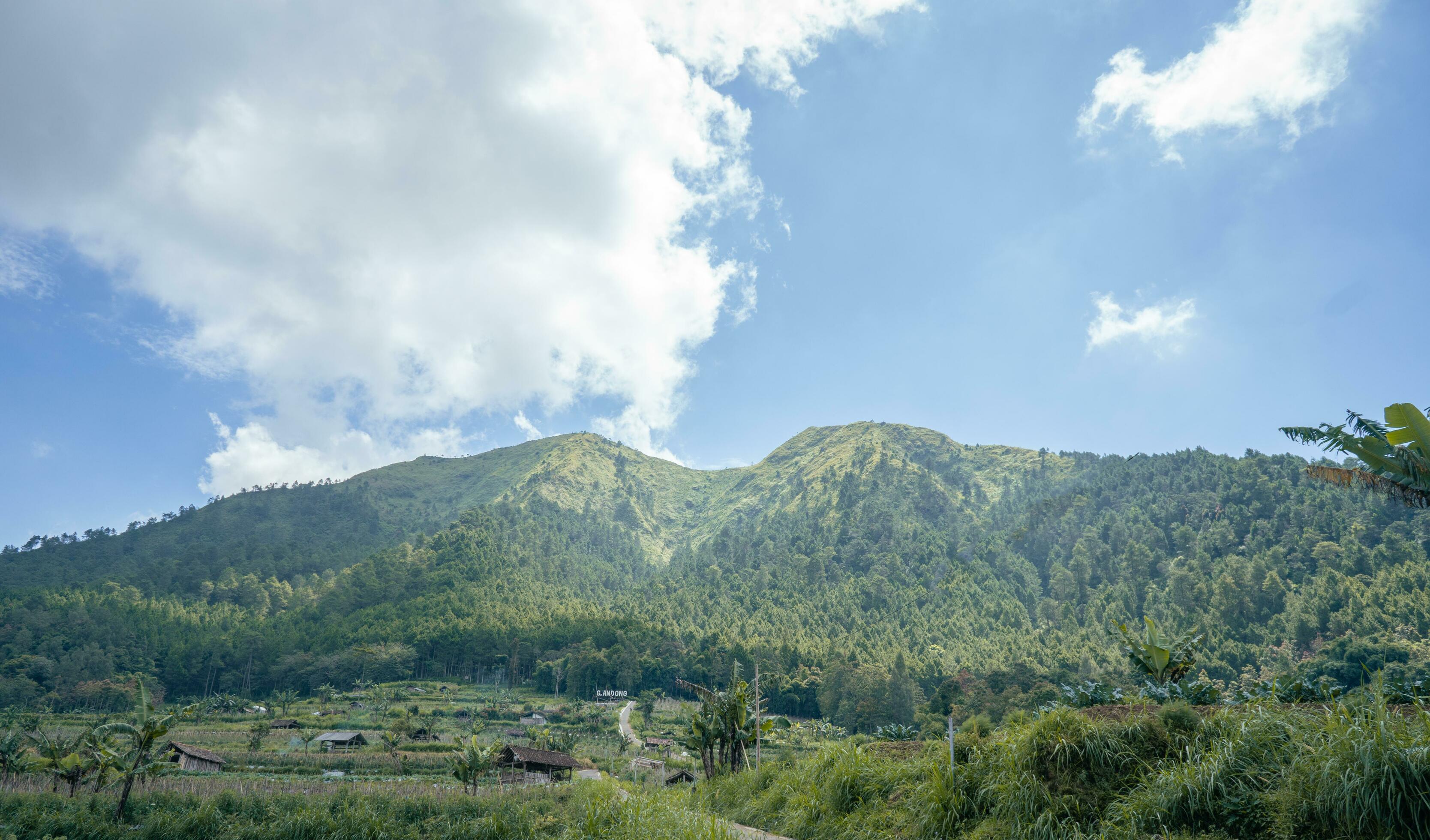 Landscape mountain when morning time sunlight summer vibes. The photo is suitable to use for adventure content media, nature poster and forest background. Stock Free