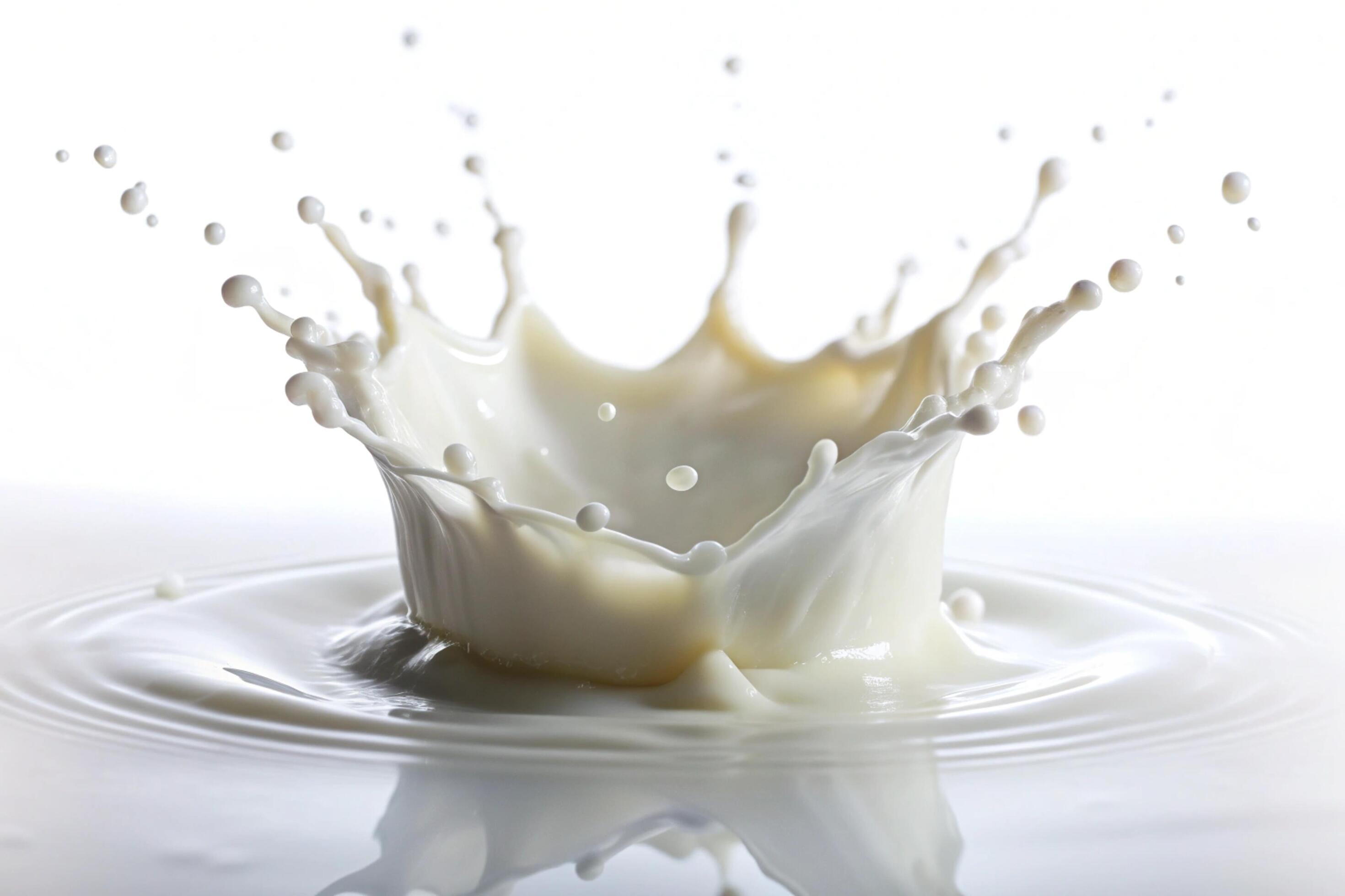 Milk splashes on white background Stock Free