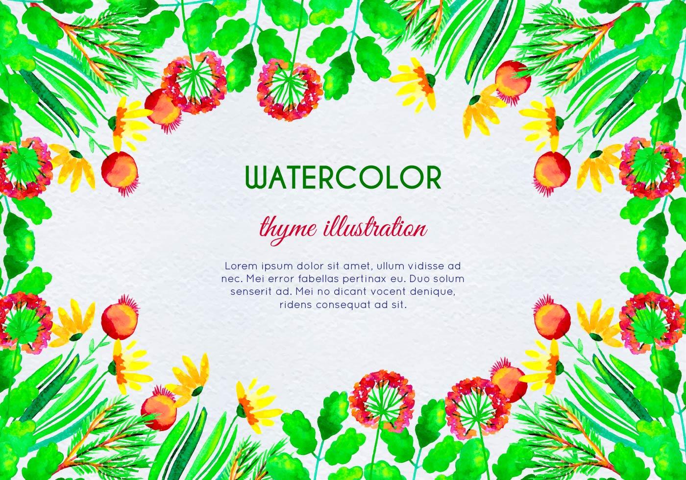 Watercolor Herb and Flower Framed Background Stock Free and Free SVG