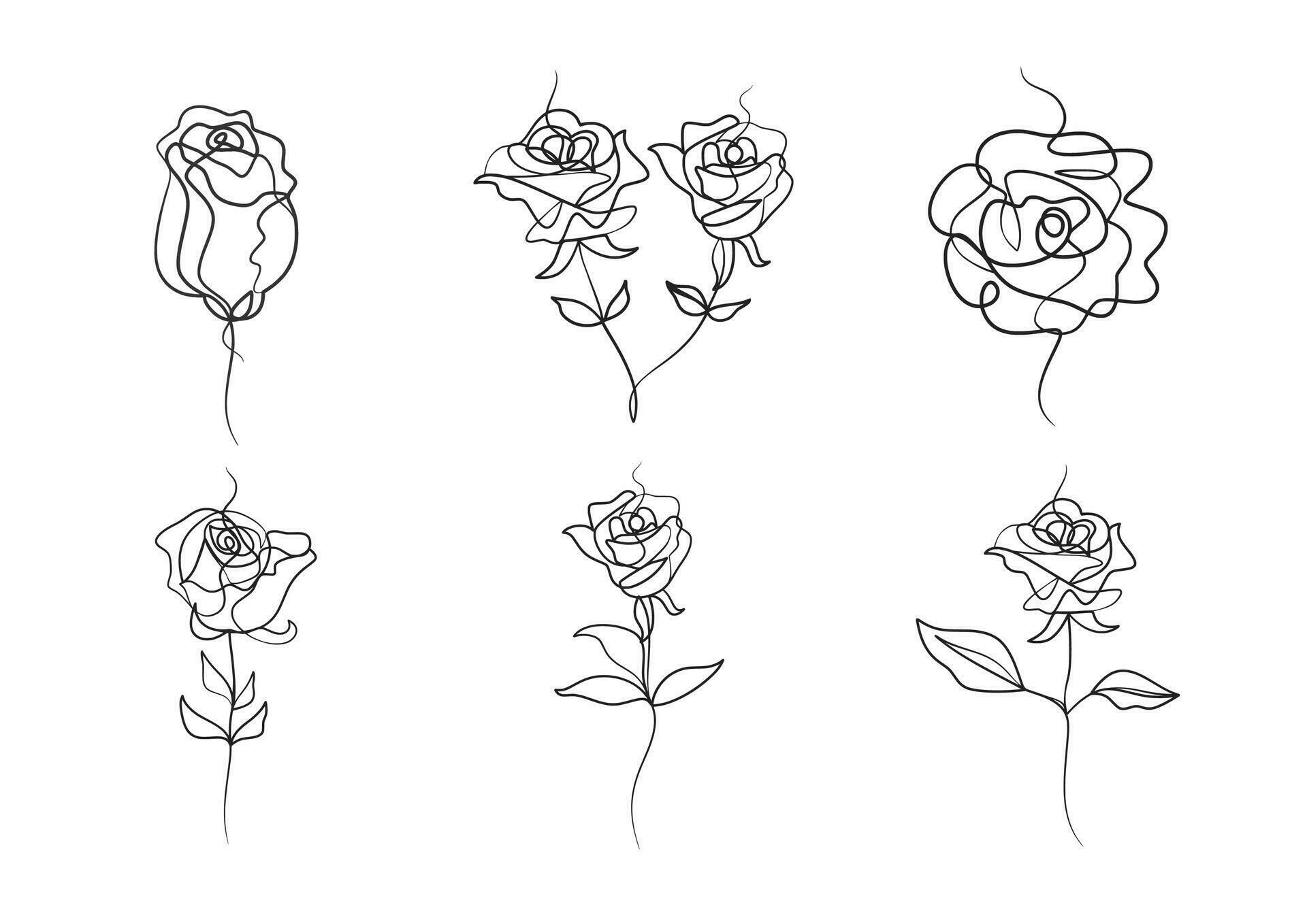 Continuous one line art drawing of beauty rose flower Stock Free