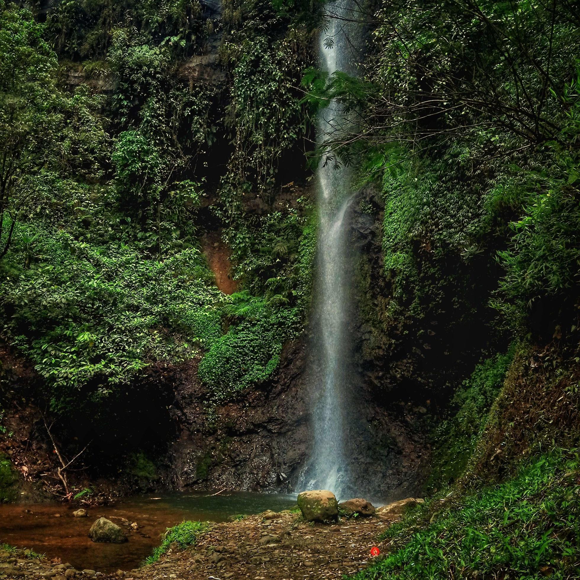 Waterfall in the middle of the forest Stock Free