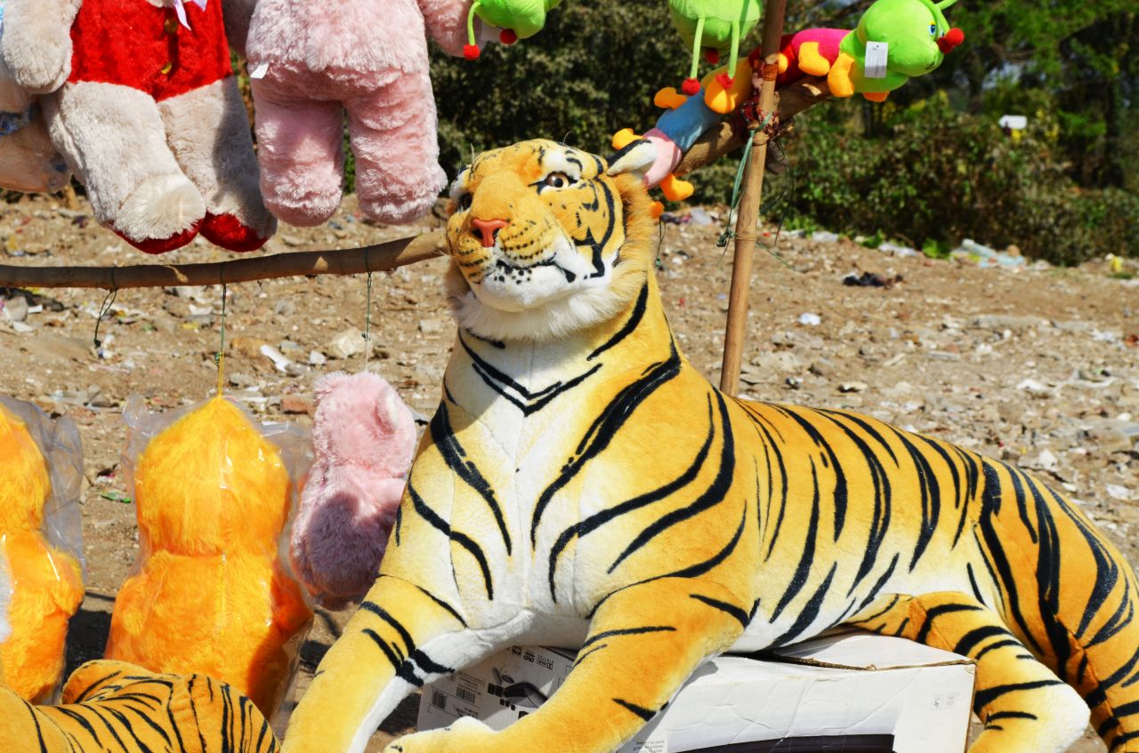 Tiger Soft Toy Stock Free