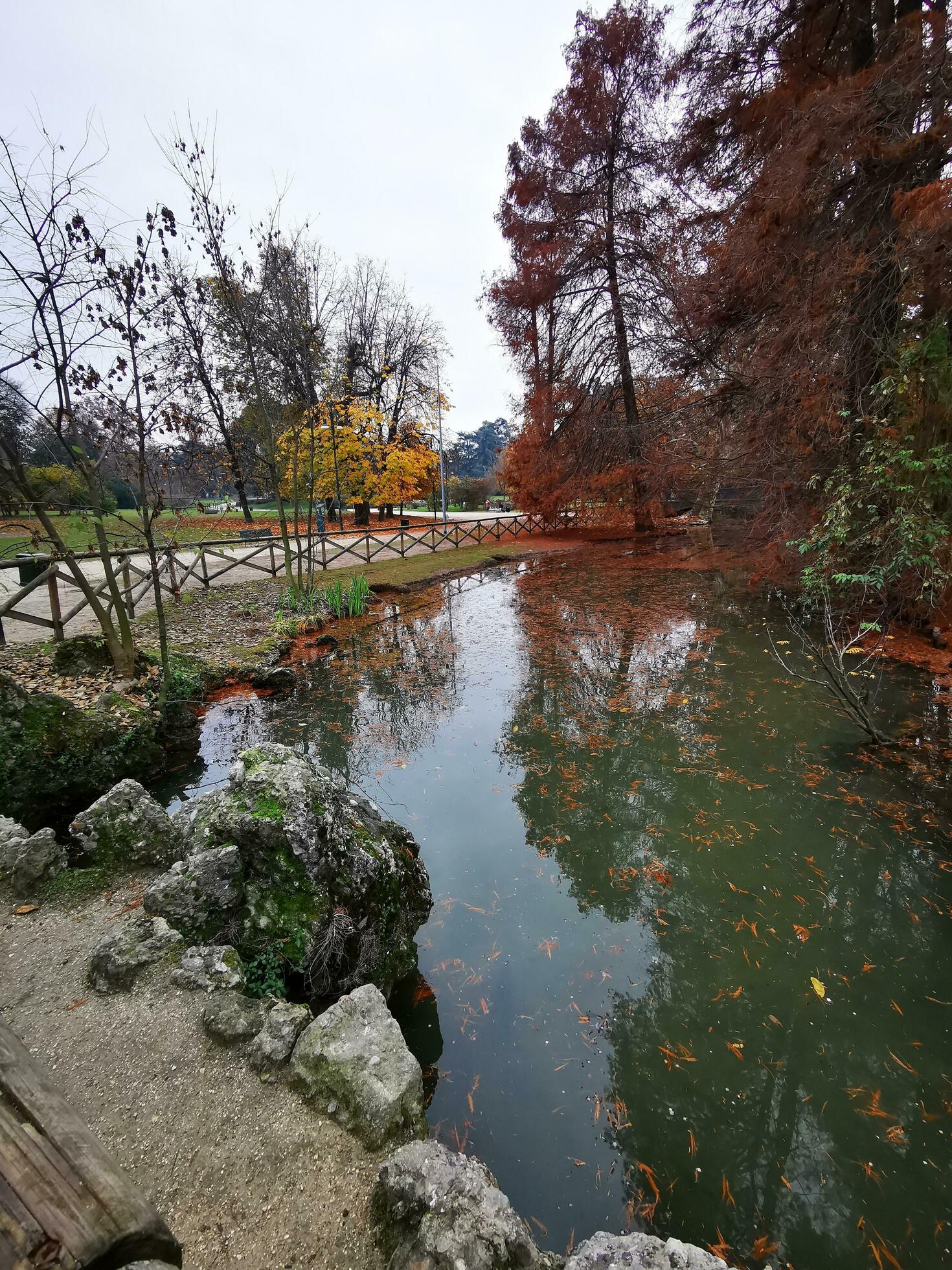 Autumn landscape with pond and fallen leaves in the park. Nature background Stock Free