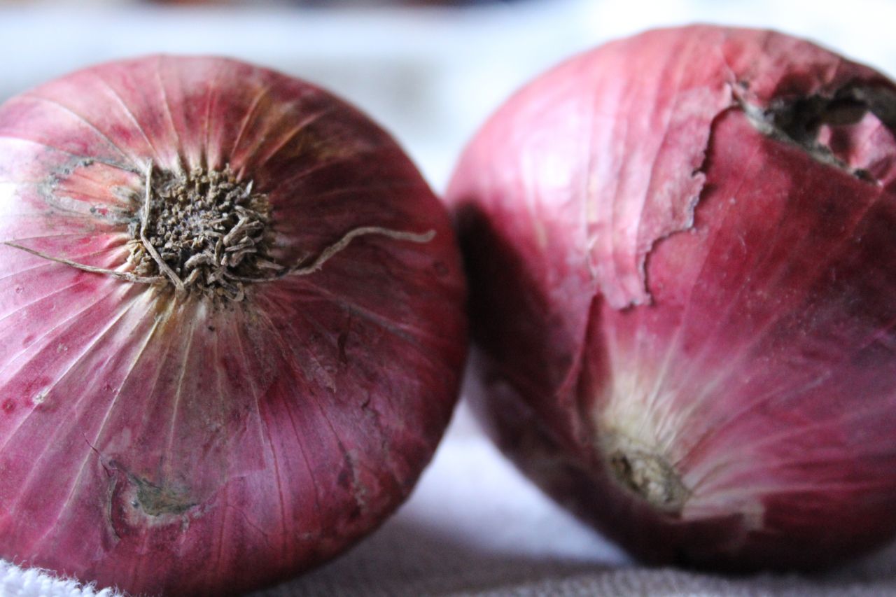 Onions Closeup Food Stock Free