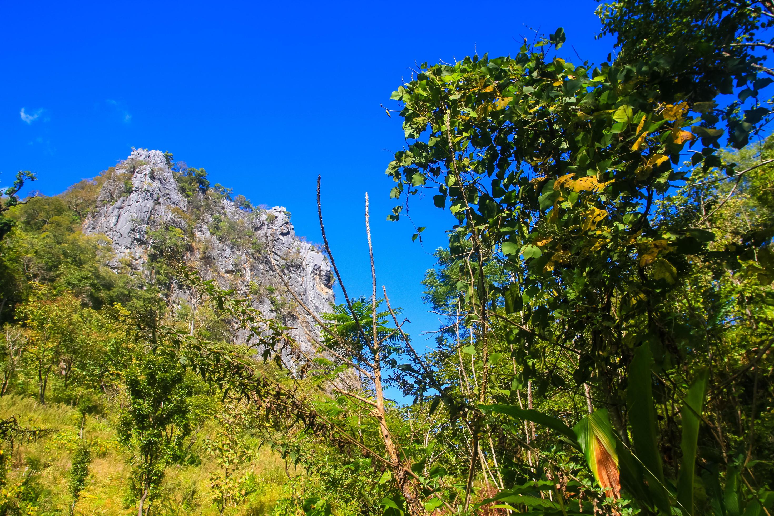 Beautiful Landscape of rocky Limestone Mountain and green forest with blu sky at Chiang doa national park in Chiangmai, Thailand Stock Free