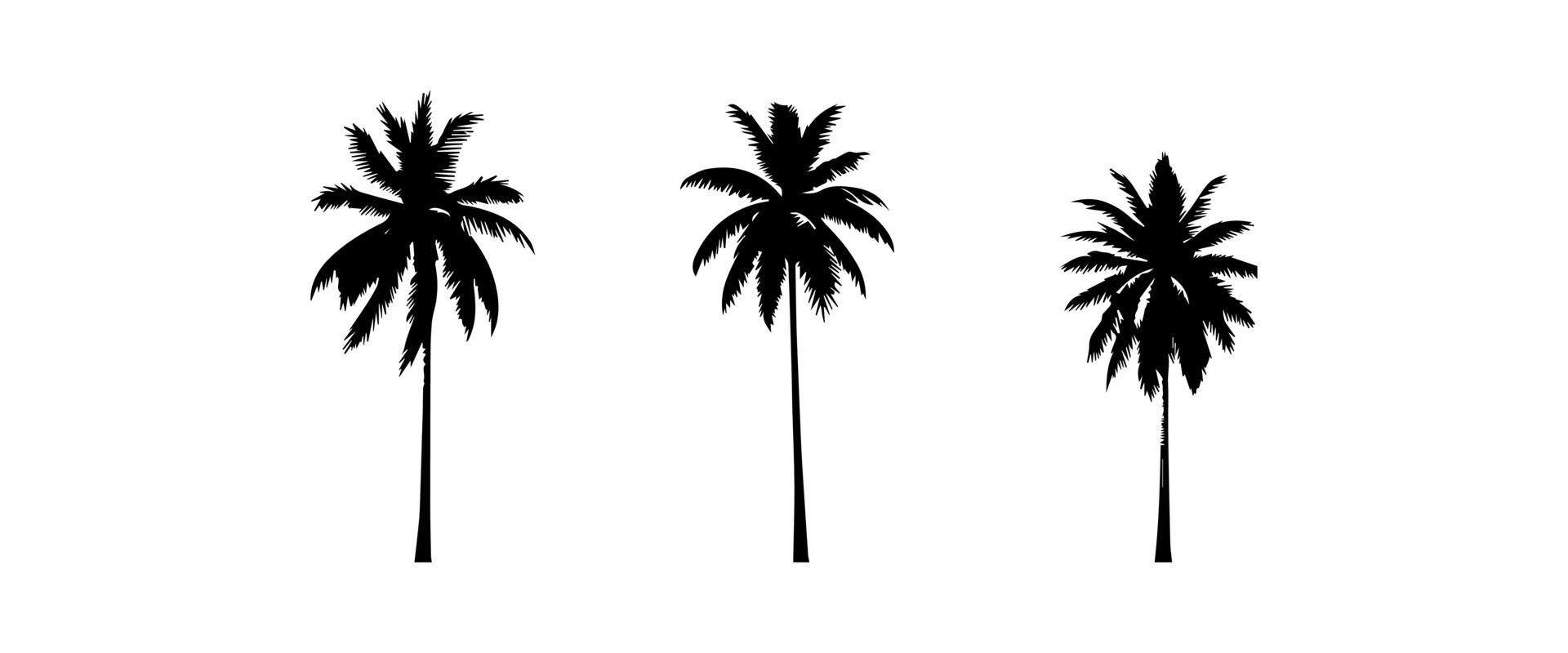 Black palm trees set isolated on white background. Palm silhouettes. Design of palm trees for posters, banners and promotional items. illustration Free Vector