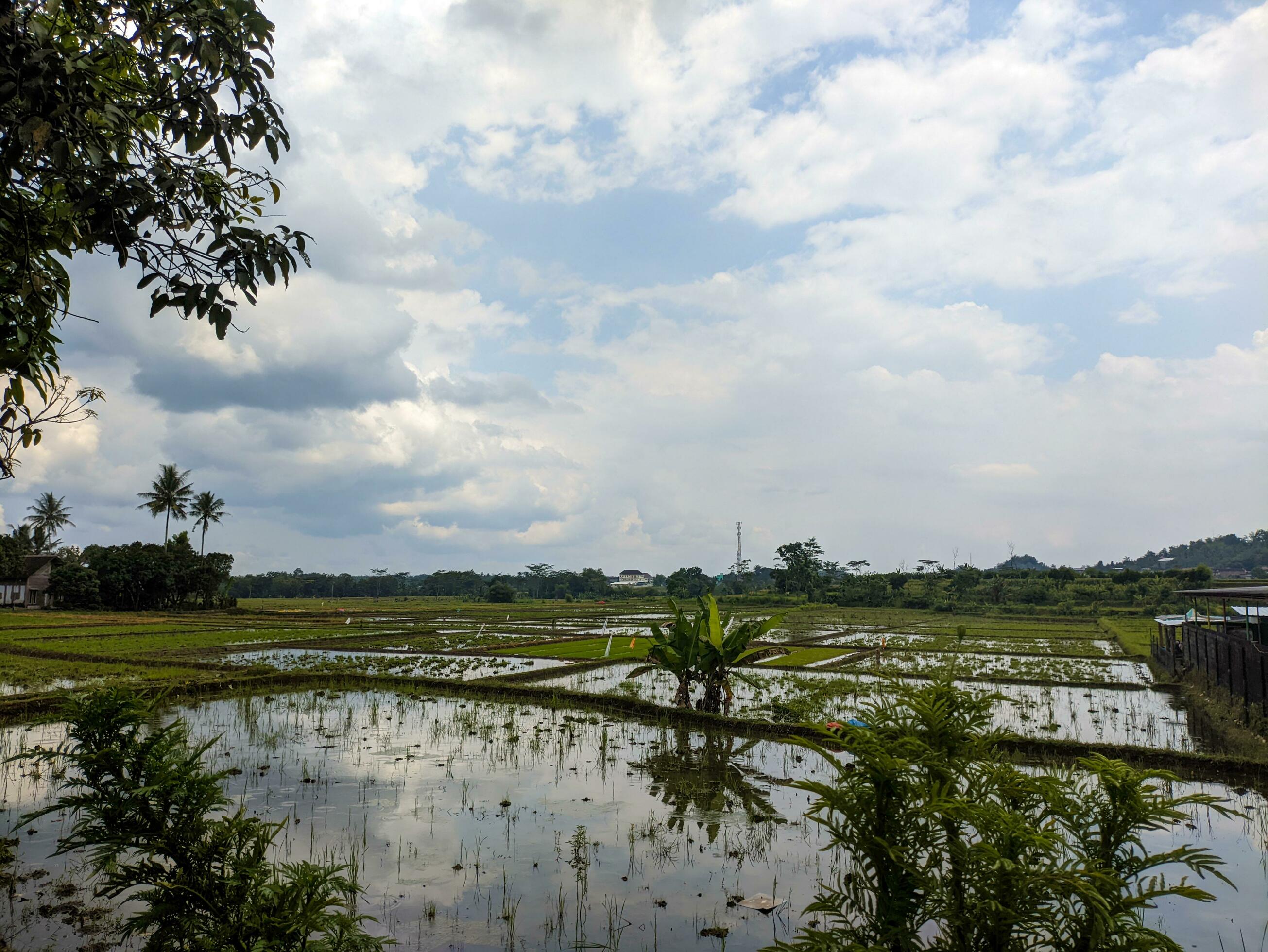 a view of countryside nature in blitar, indonesia Stock Free