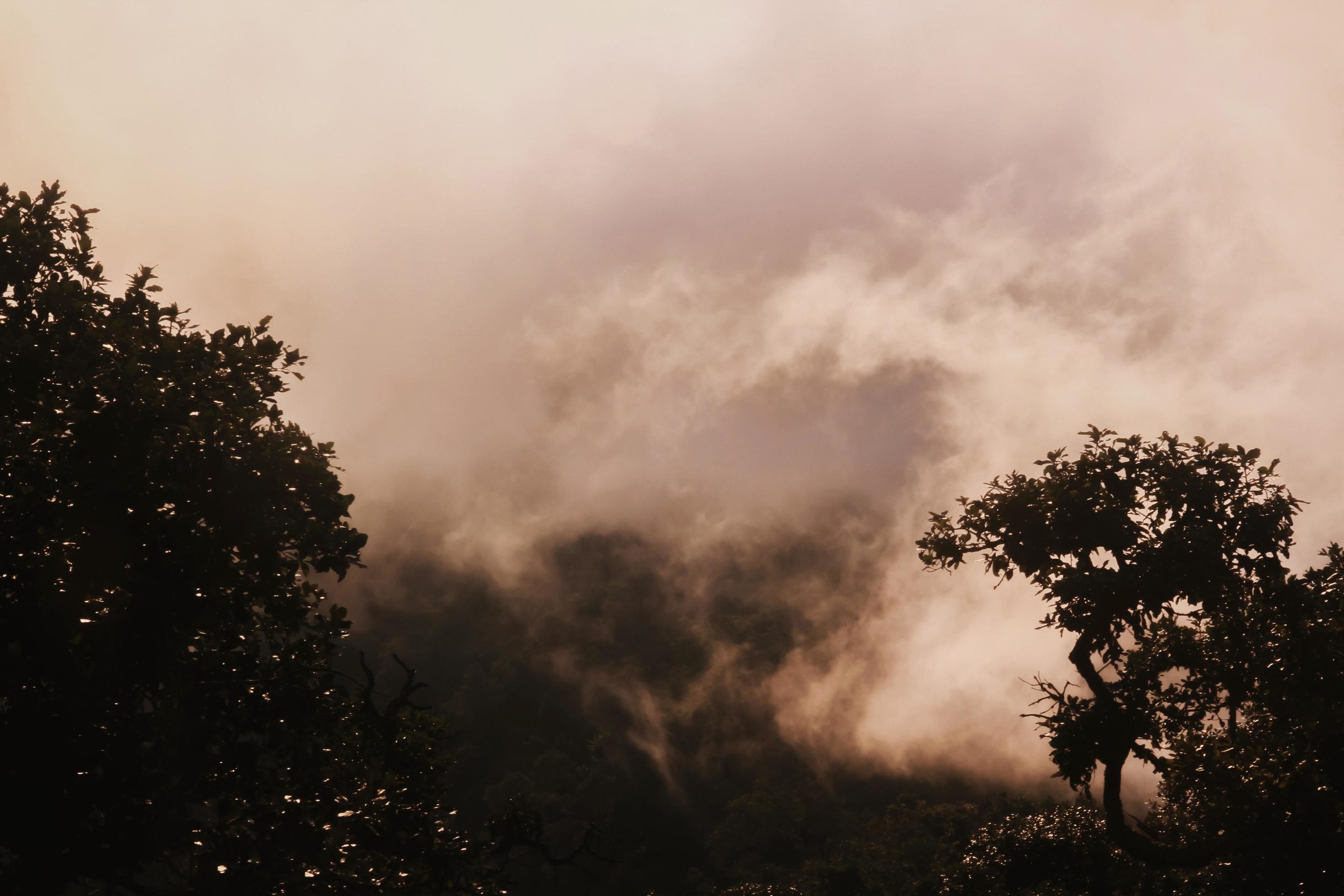 Golden light with sunrise in morning on the sky and cloud on the mountain. Fog cover the jungle hill in Thailand Stock Free