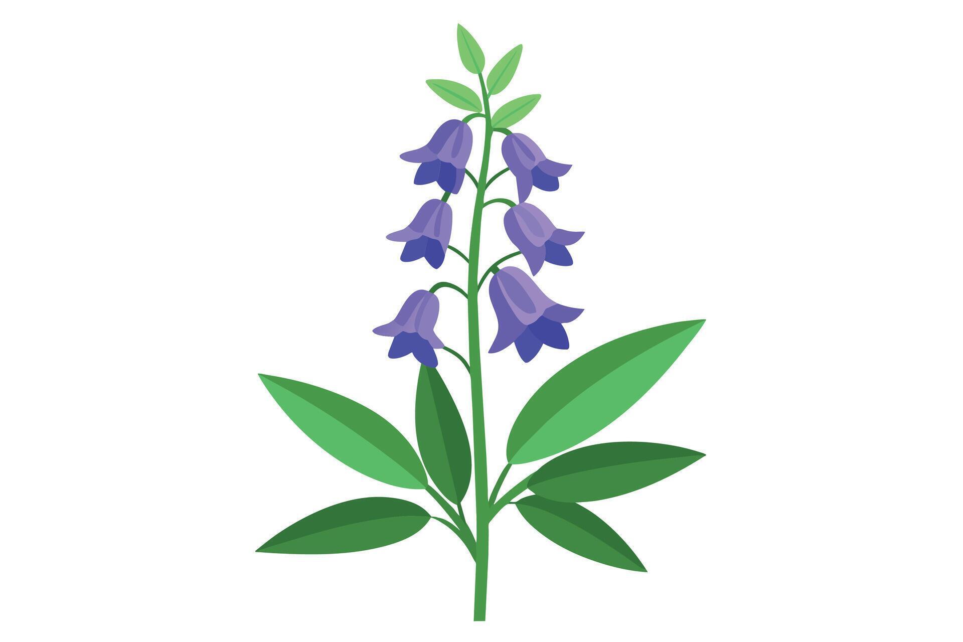 Monkshood Flower Vector Illustration Isolated on a Clean Background Stock Free