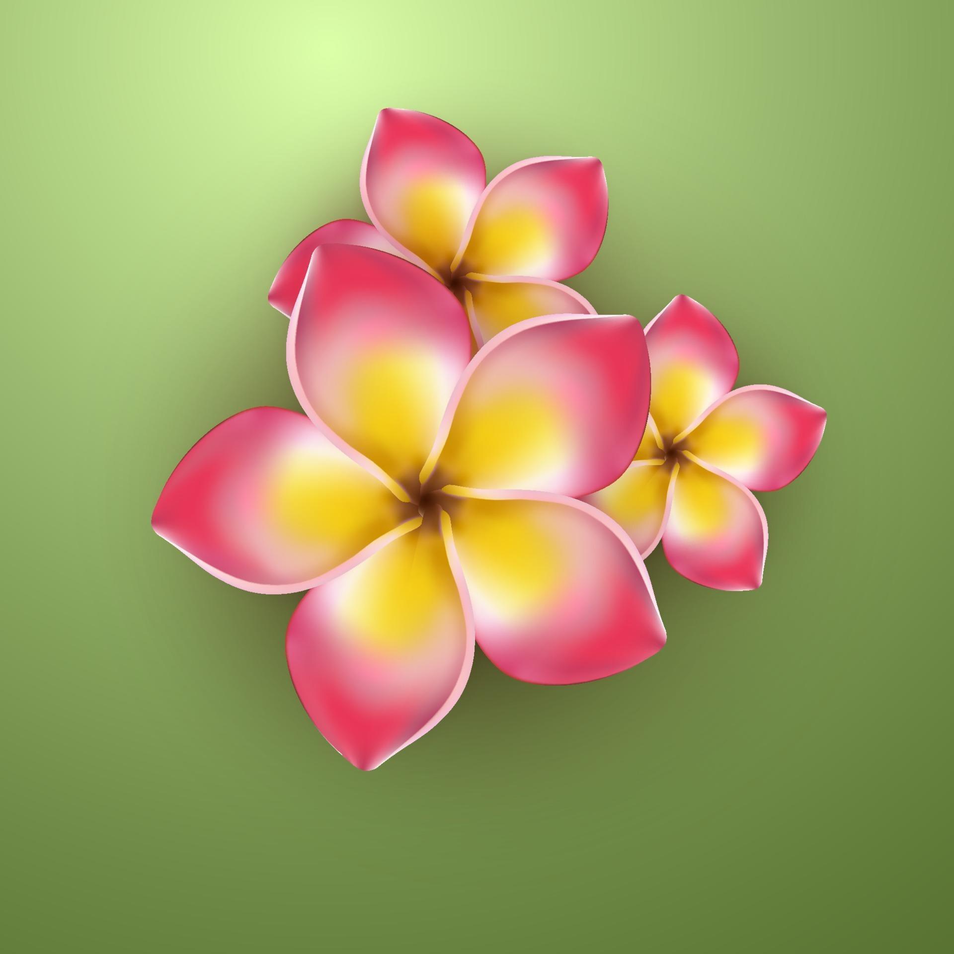 realistic yellow pink tropical flower Stock Free