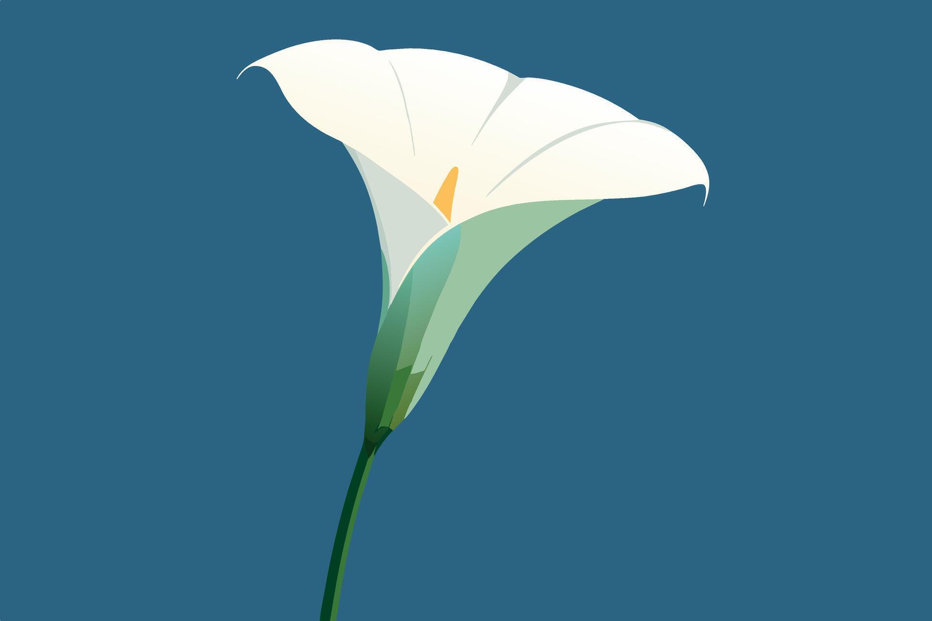 lisianthus Flower Vector Illustration Isolated on a Clean Background Stock Free