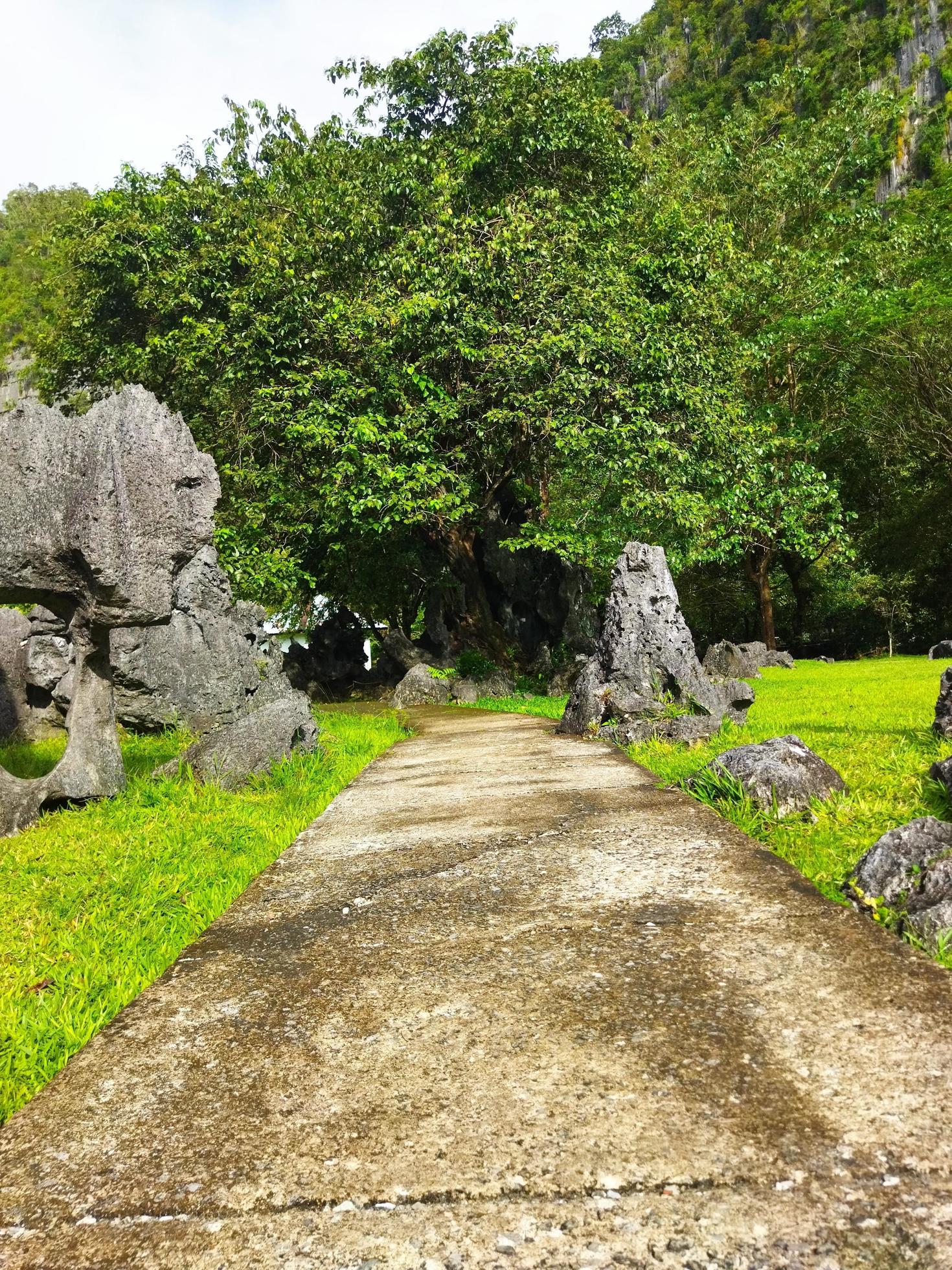 Stone made of nature at isolated environment Stock Free