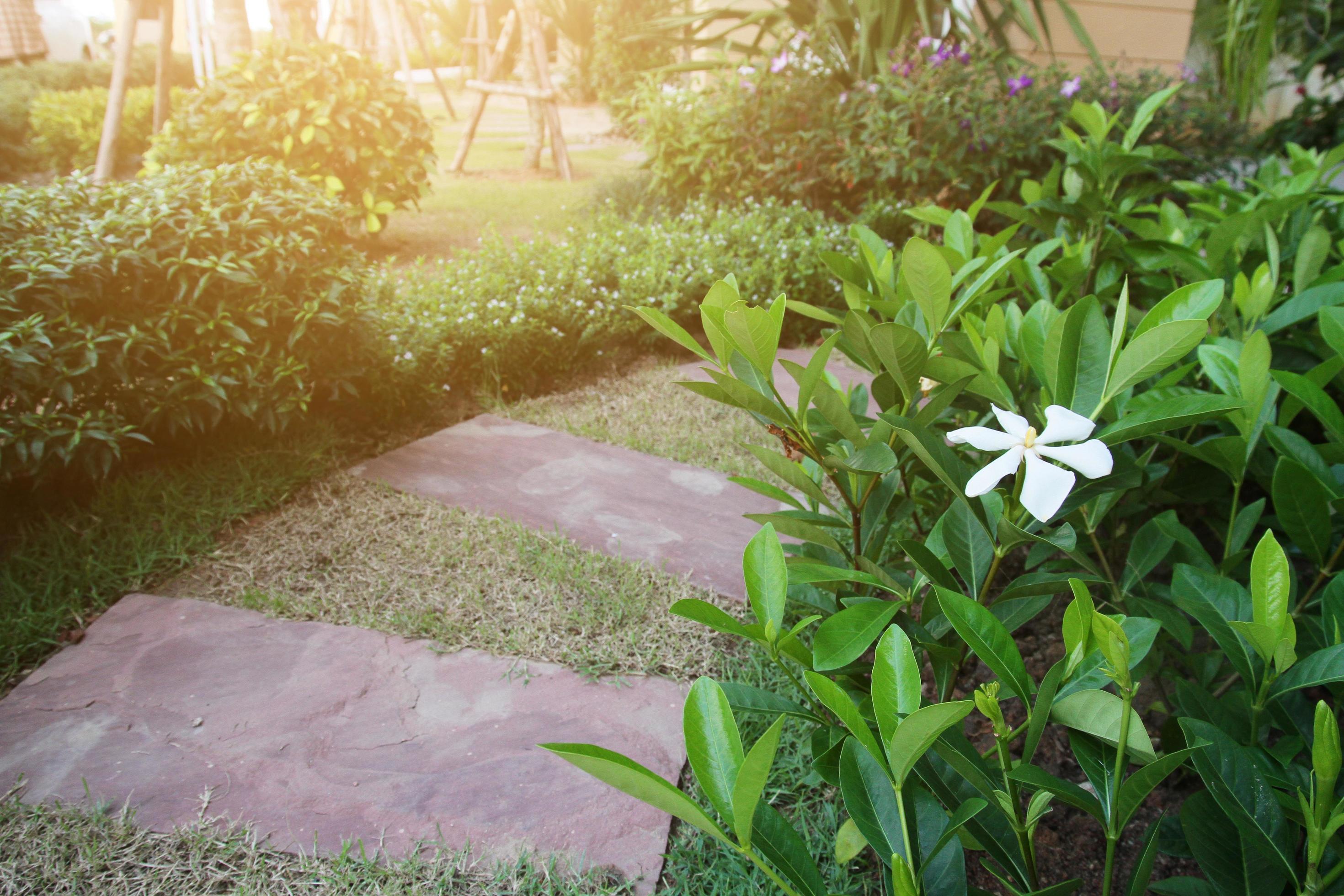 Idea of Stone and cement tile design for paving walkway in the garden. Design And Decorative Garden. Stock Free