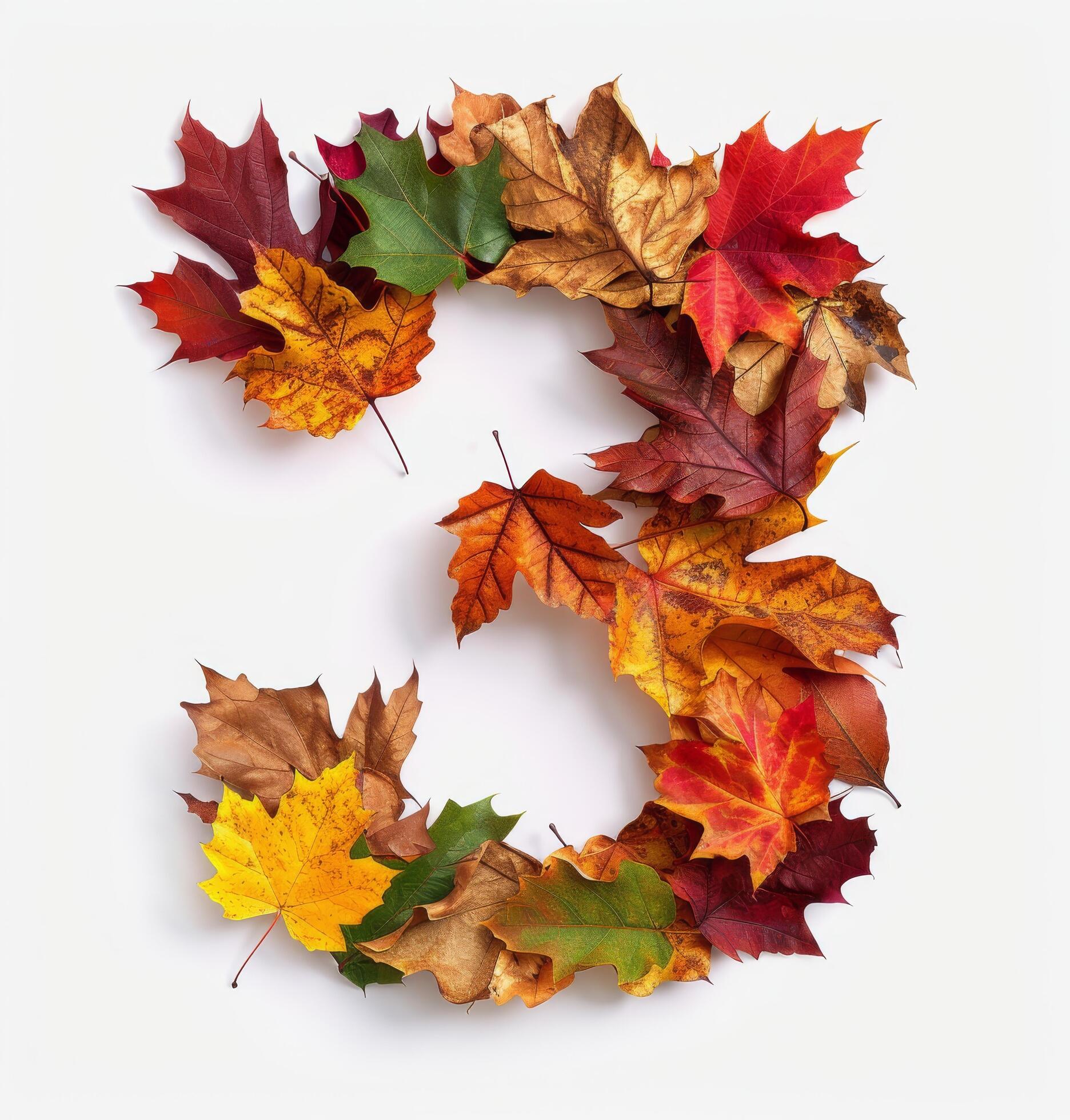 Colorful Autumn Leaves Arranged in a Number Three Shape on a White Background Stock Free