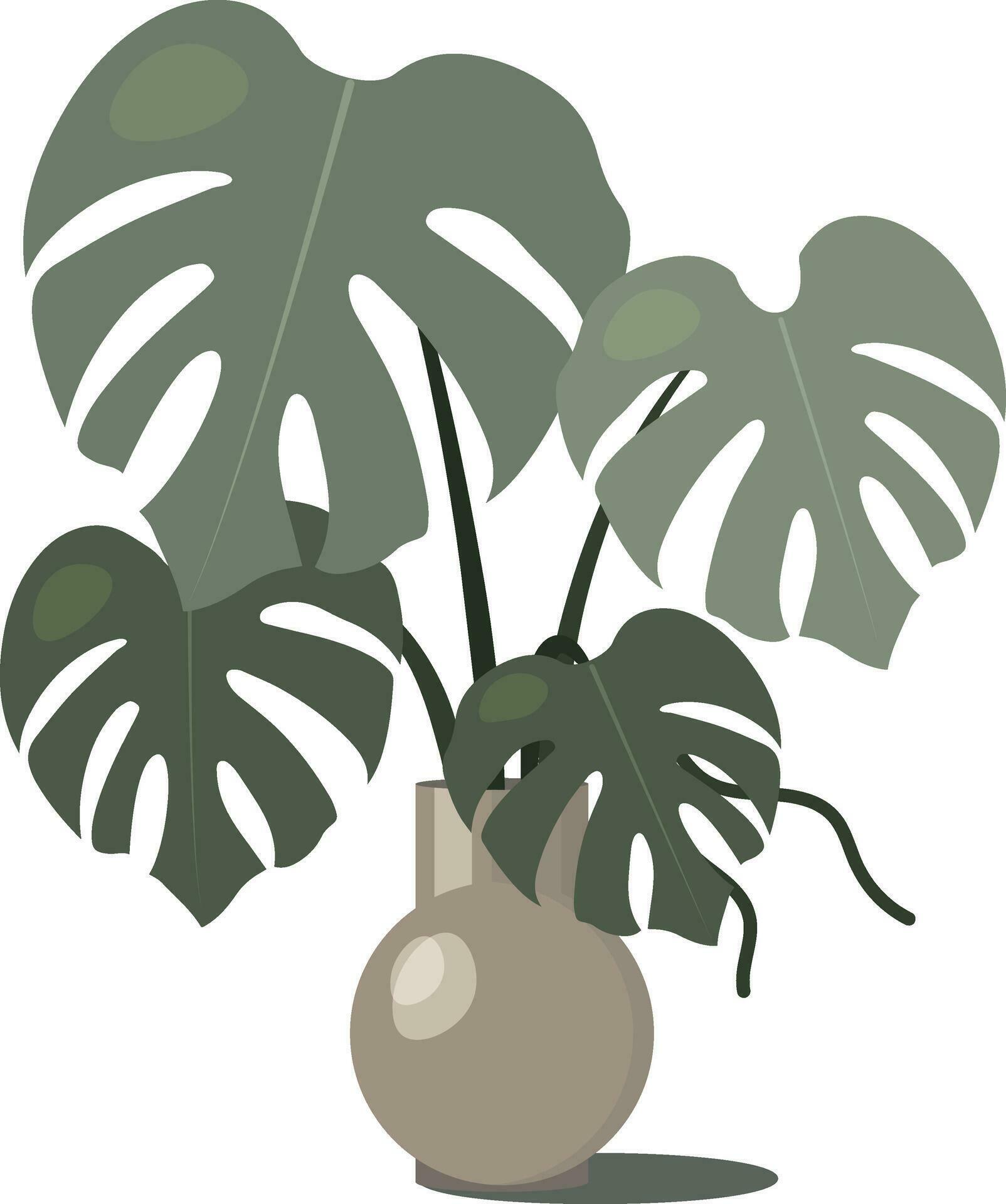 Flat vector illustration of a home flower in a pot. Monstera in a pot in vintage style. Stock Free