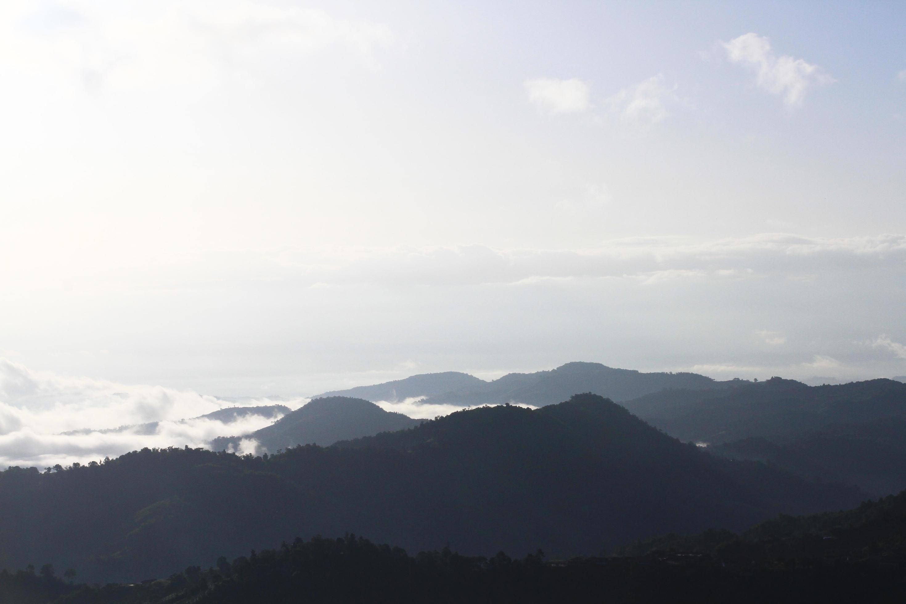 Fog in the morning sunrise on the jungle mountain landscape in Thailand Stock Free