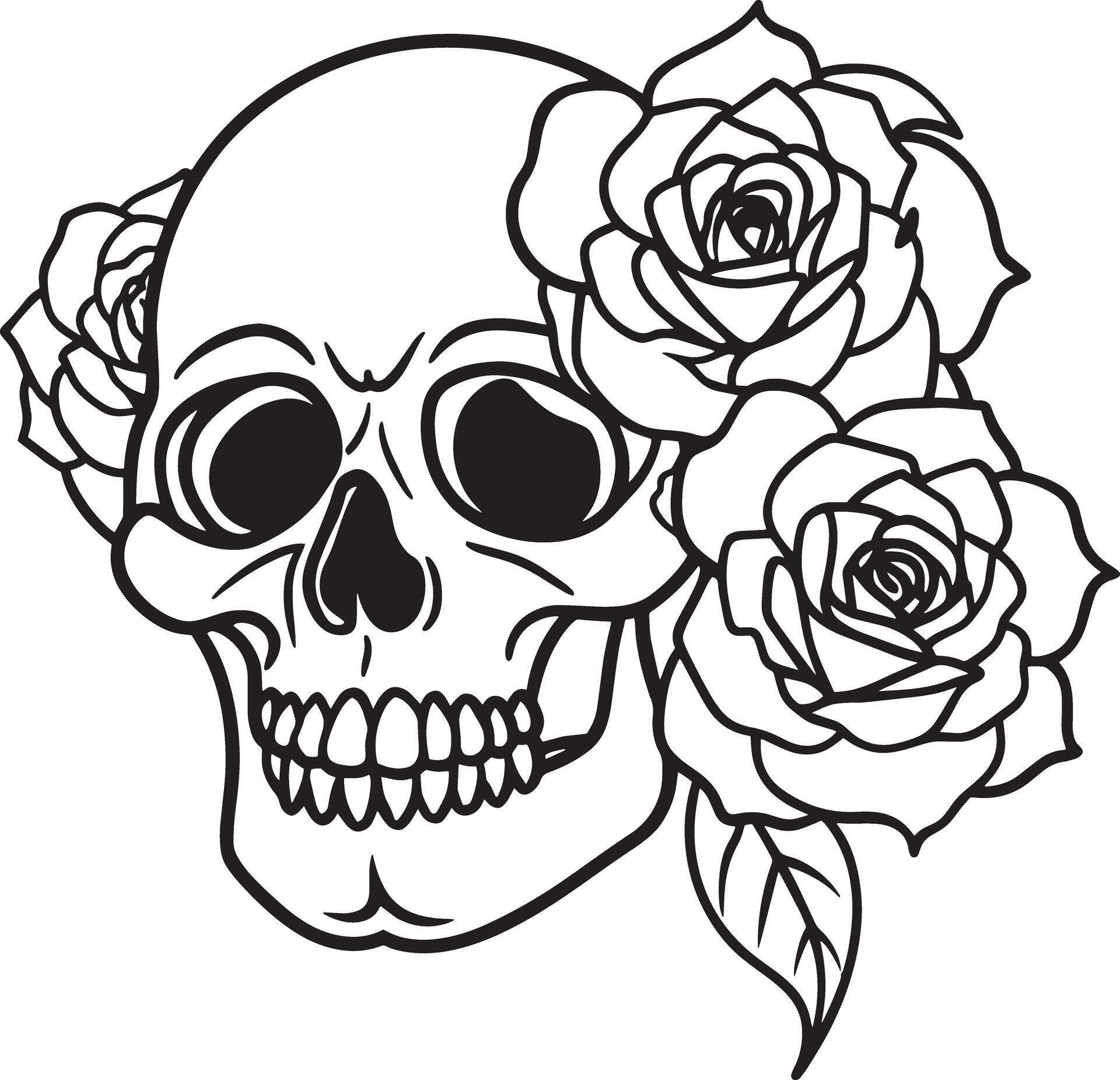 skull with rose flowers line art black and white illustration Stock Free